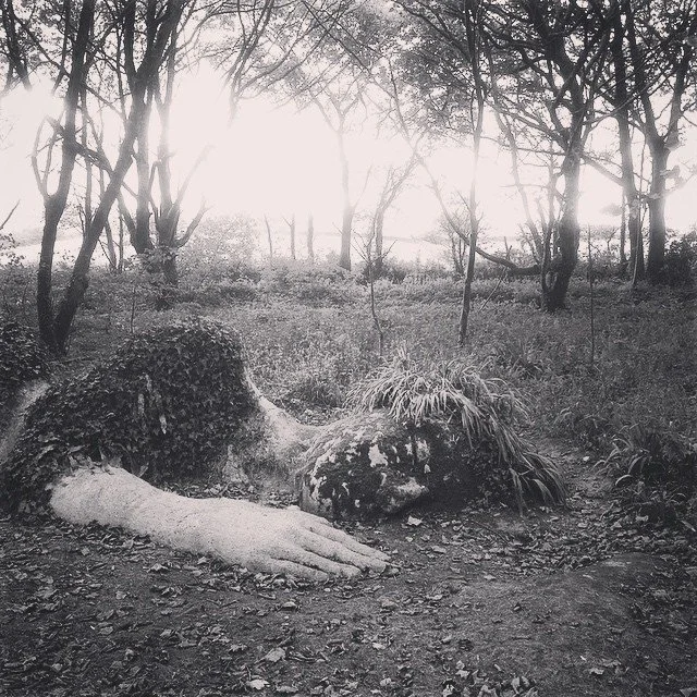 Shadows Jan 27 2022 Final - 71.jpeg