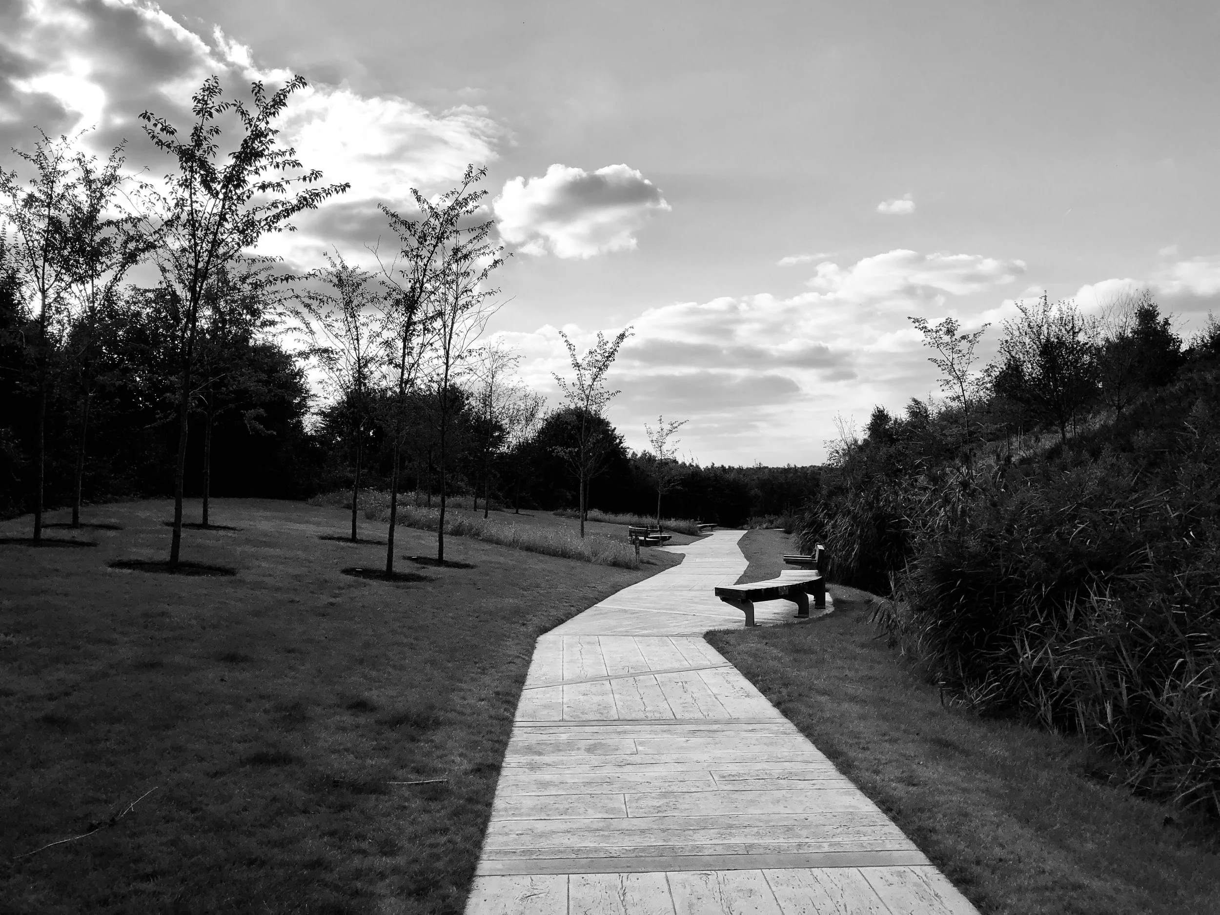 Structures Jan 28 2022 Final - 7.jpeg