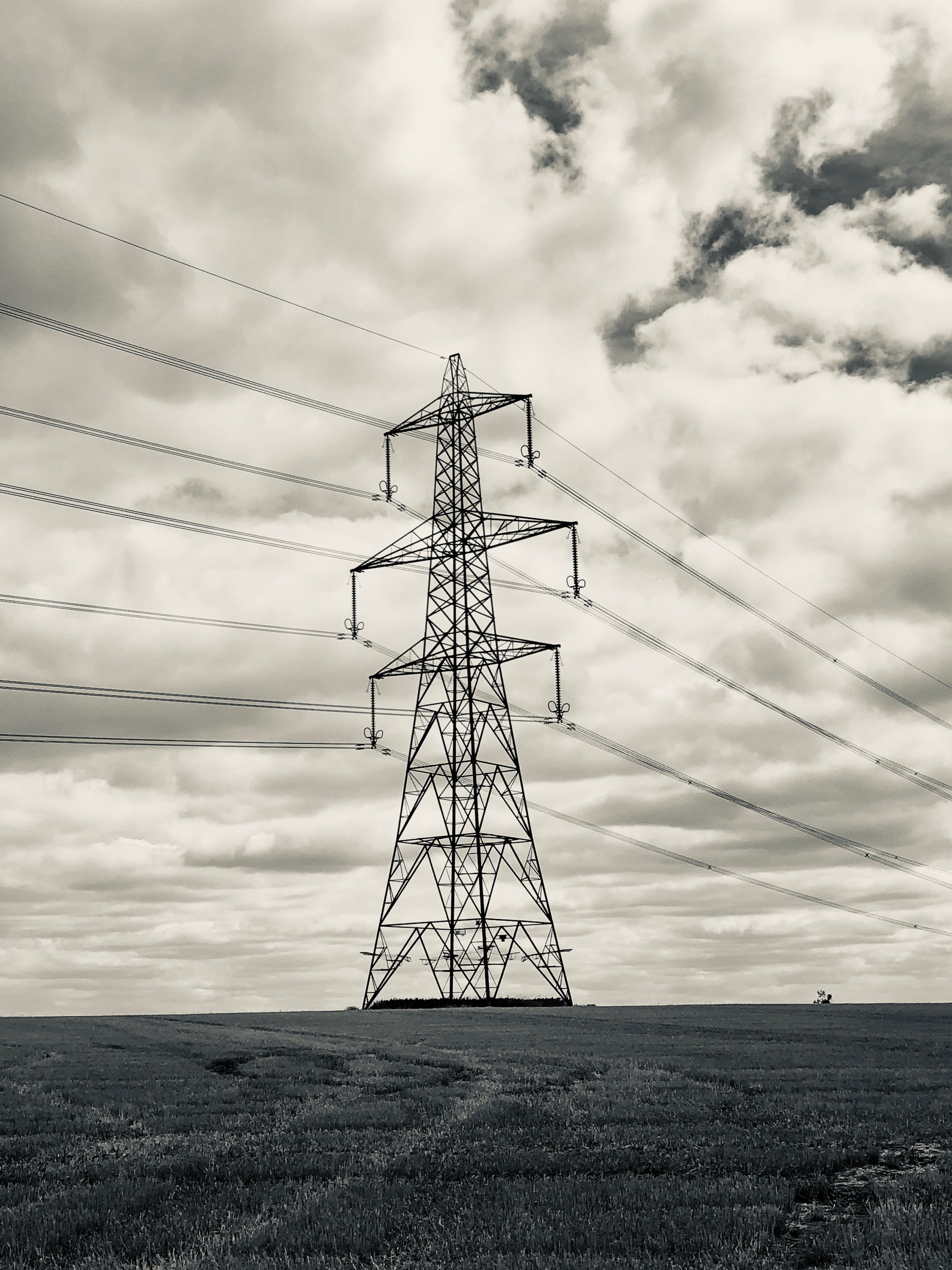 Shadows Jan 27 2022 Final - 28.jpeg