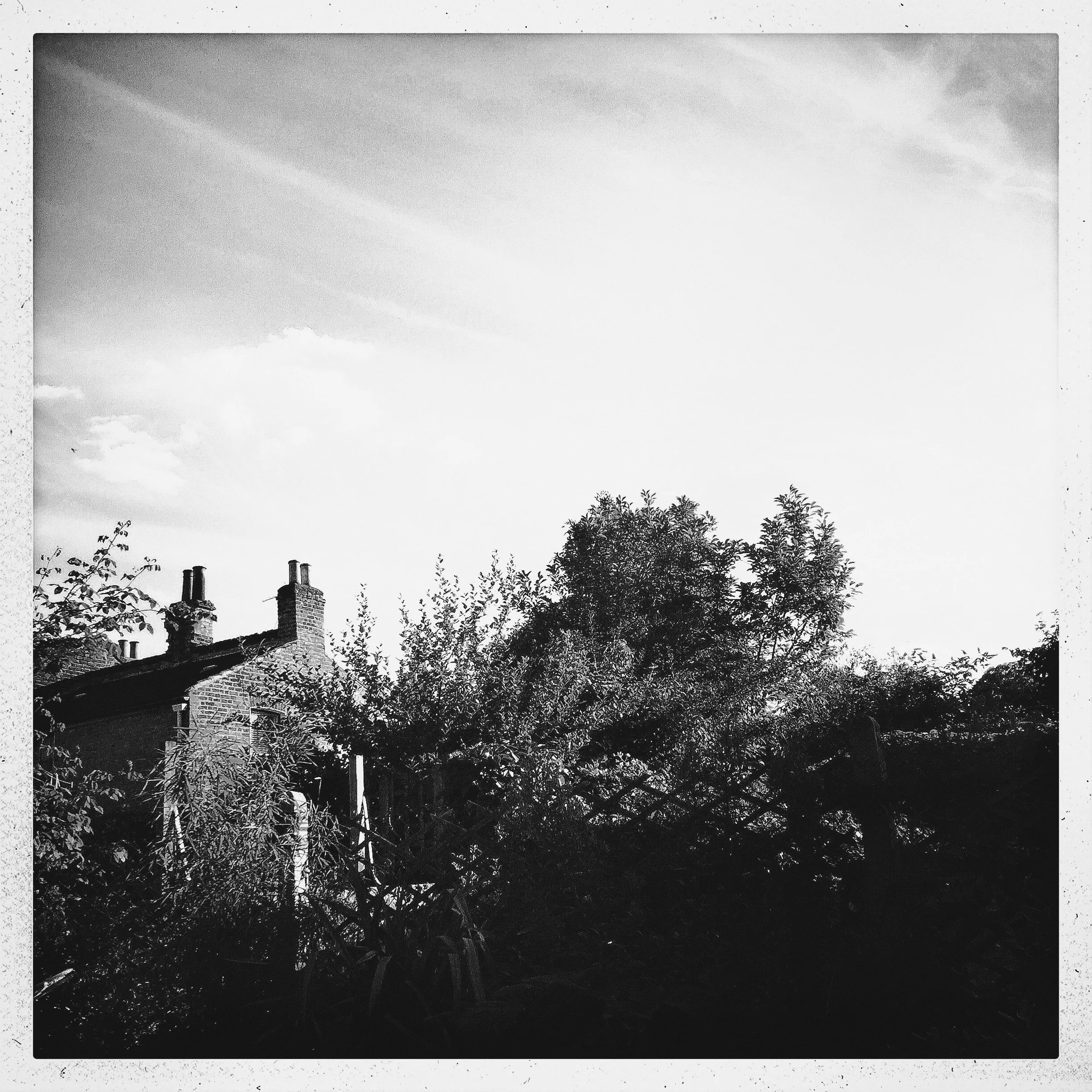 Structures Jan 28 2022 Final - 25.jpeg