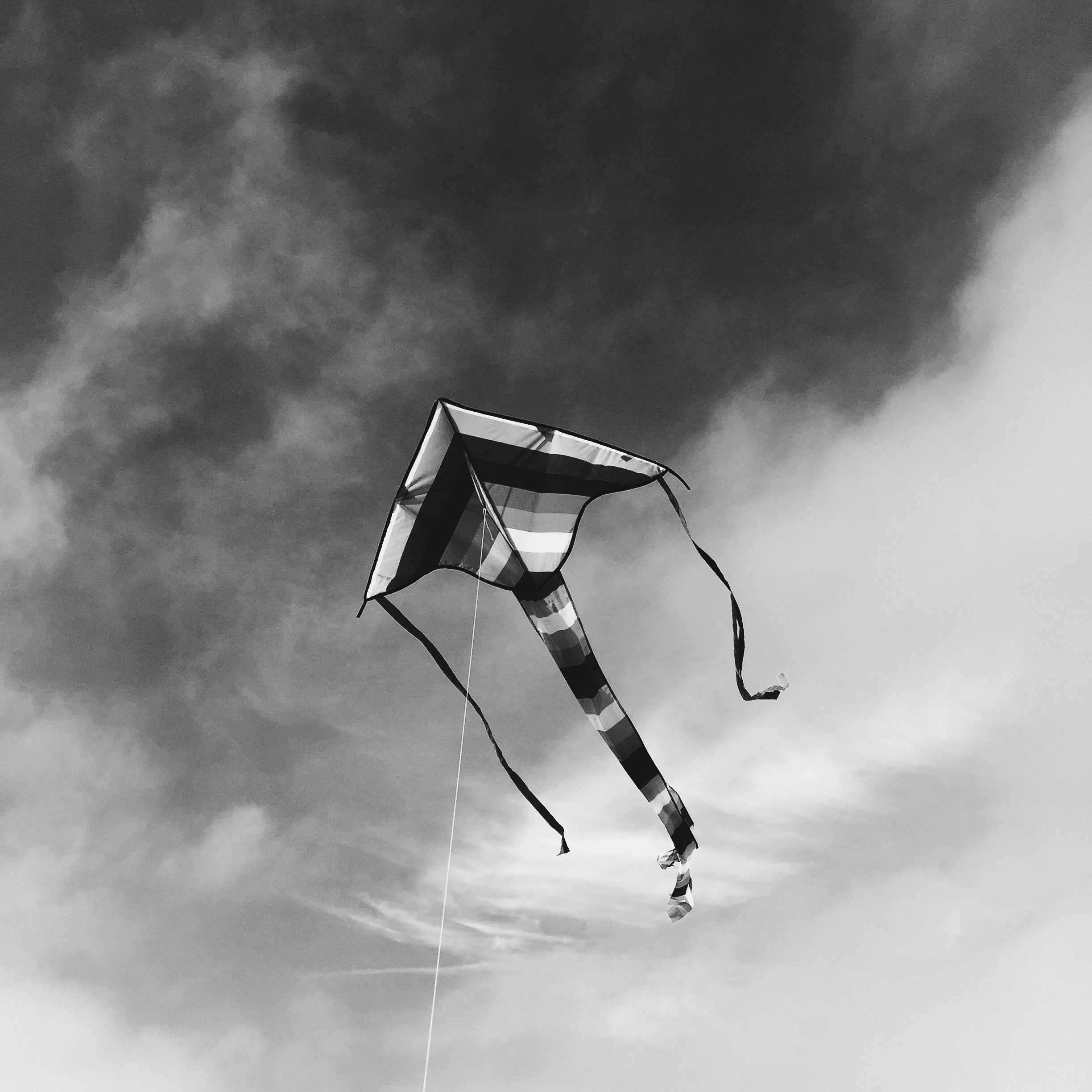 Shadows Jan 27 2022 Final - 62.jpeg