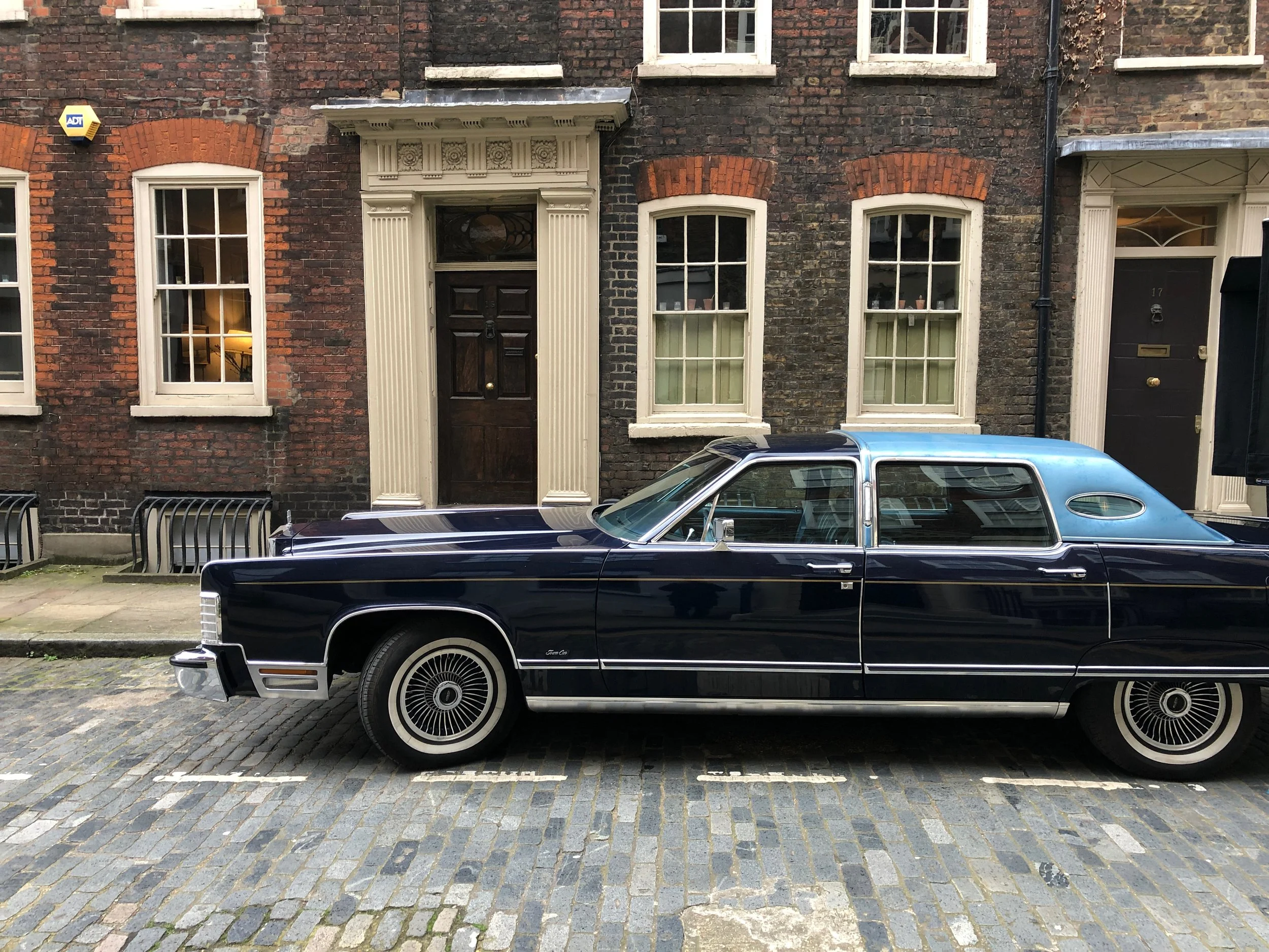 Speed Jan 27 2022 Final - 3.jpeg