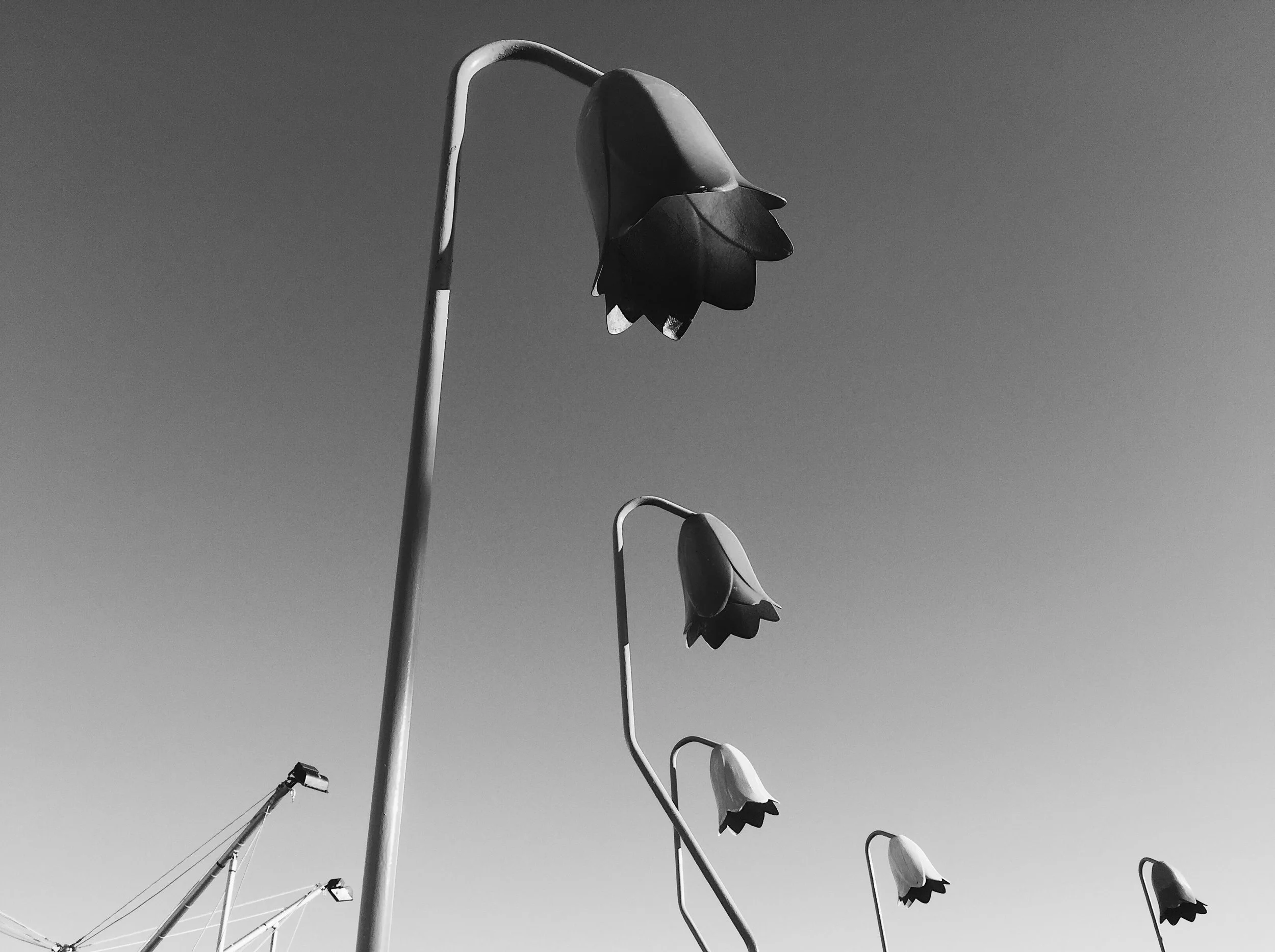 Shadows Jan 27 2022 Final - 29.jpeg