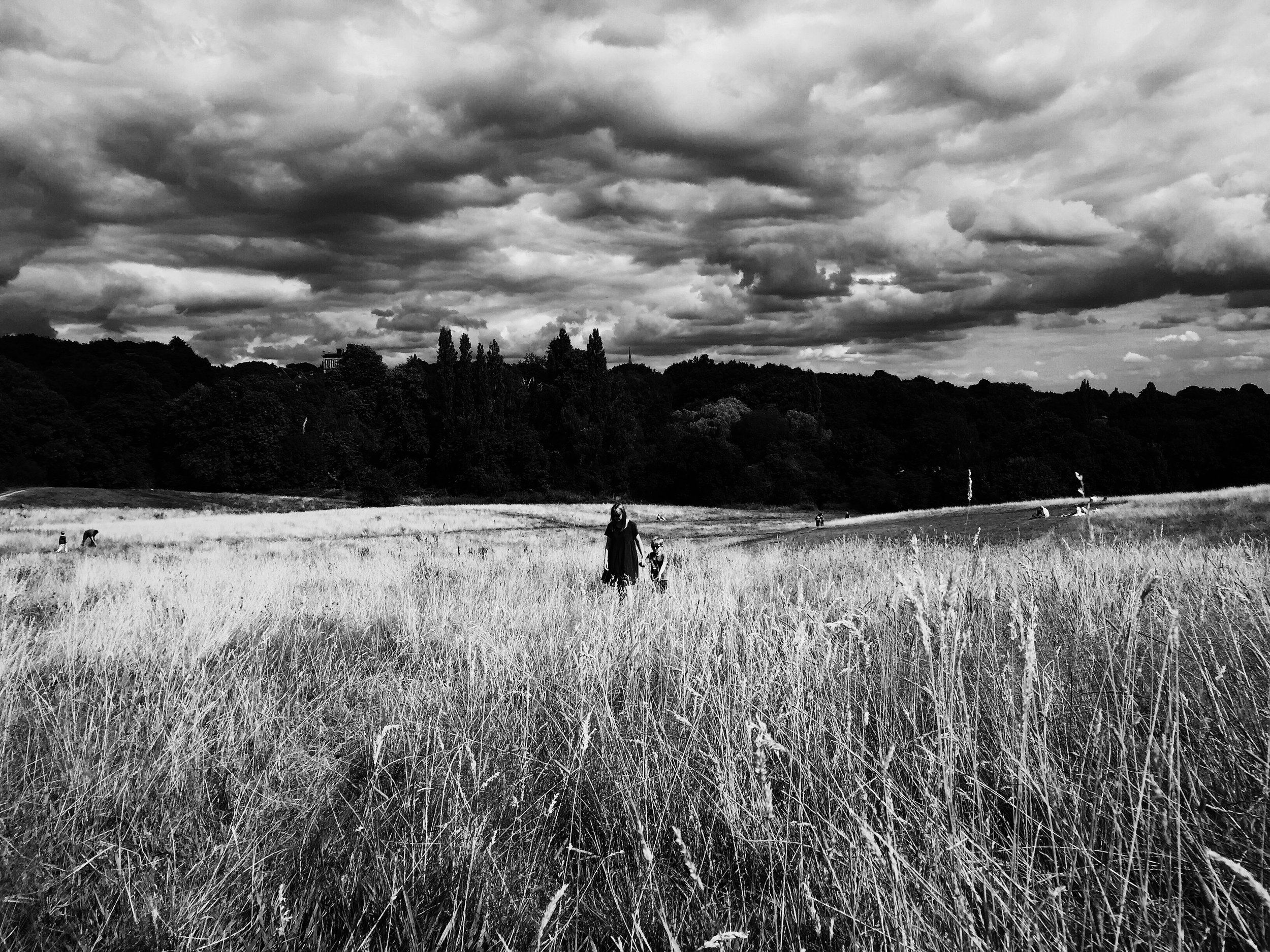 Shadows Jan 27 2022 Final - 14.jpeg