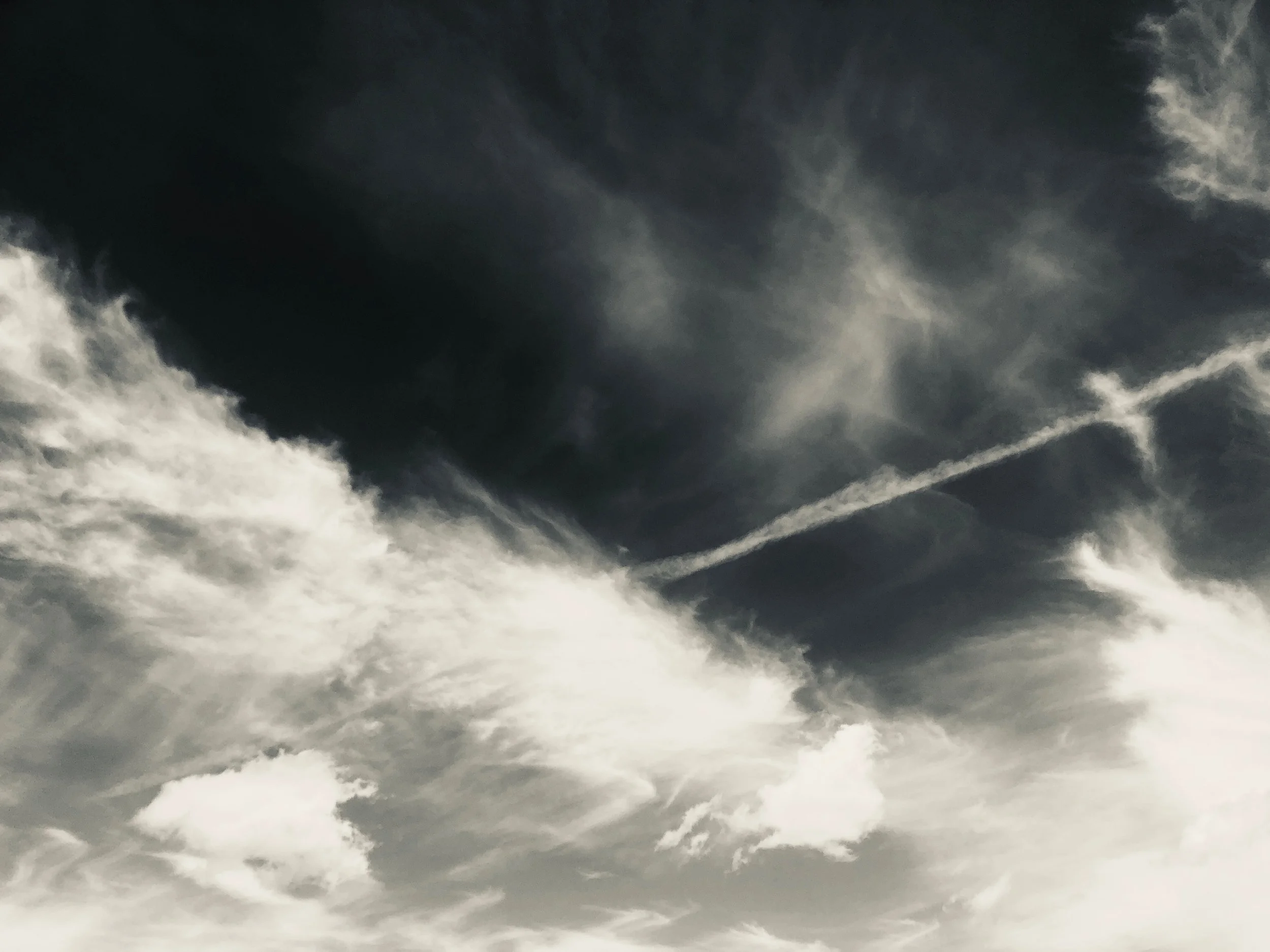 Shadows Jan 27 2022 Final - 65.jpeg