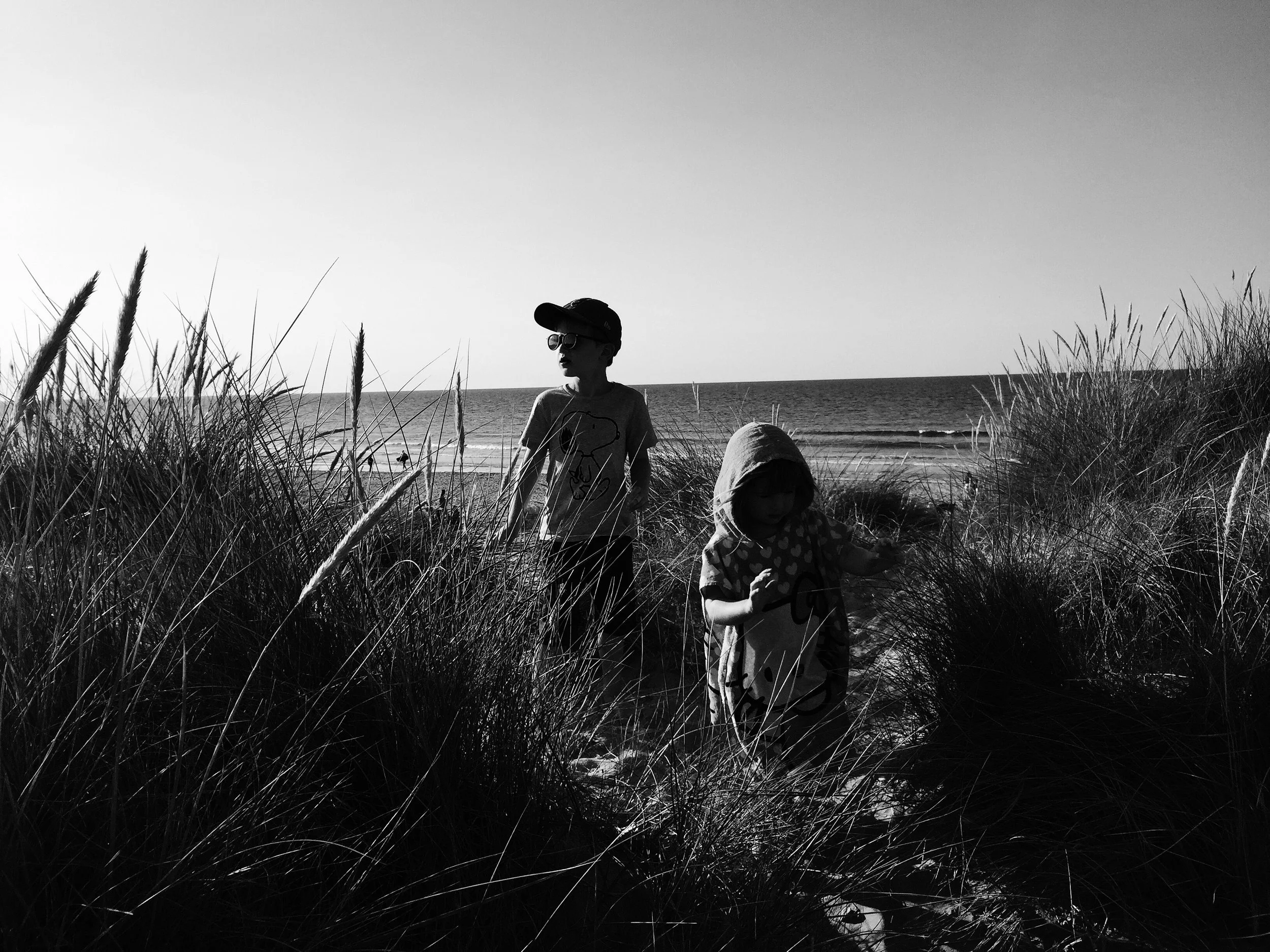 Shadows Jan 27 2022 Final - 10.jpeg