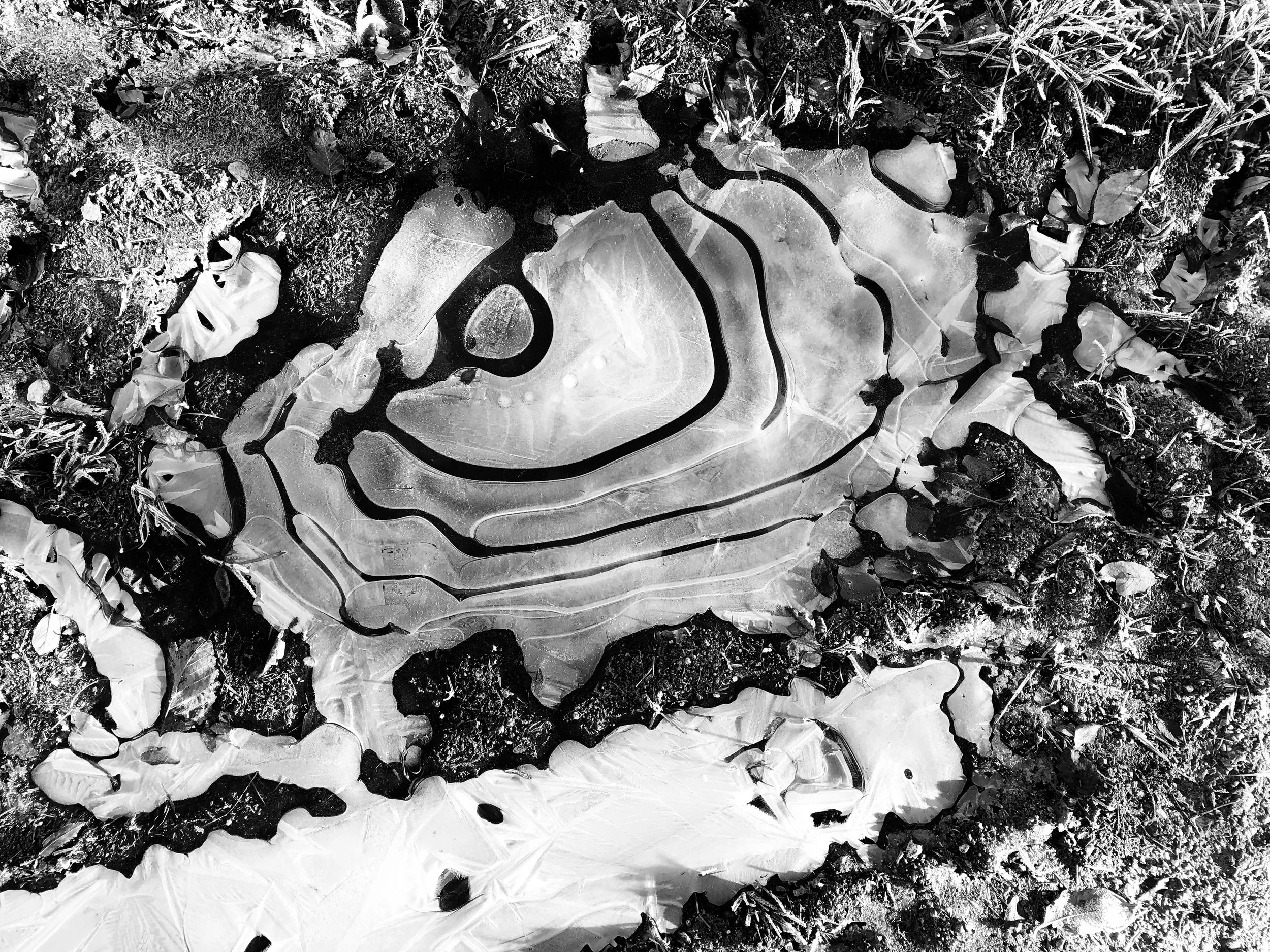 Shadows Jan 27 2022 Final - 56.jpeg