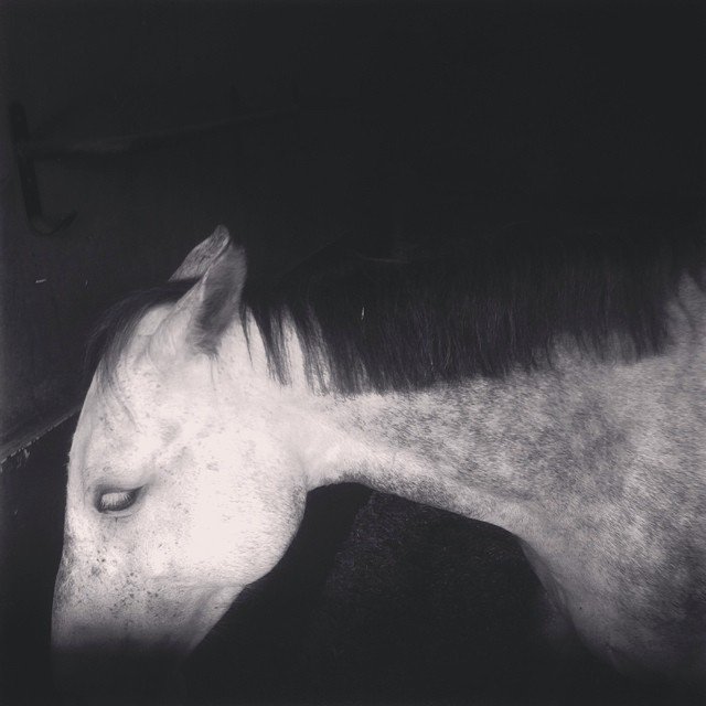 Shadows Jan 27 2022 Final - 82.jpeg