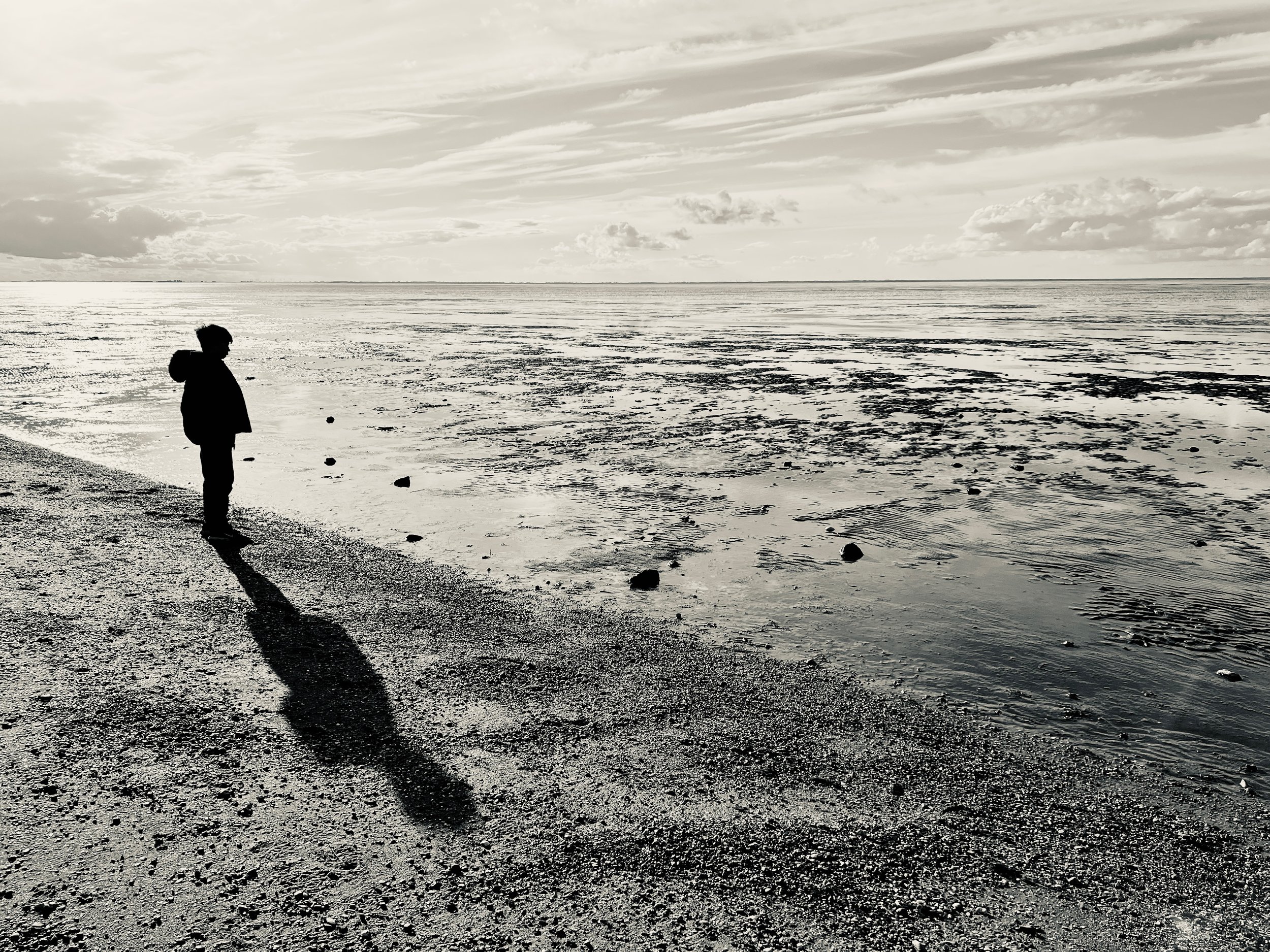 Shadows Jan 27 2022 Final - 3.jpeg