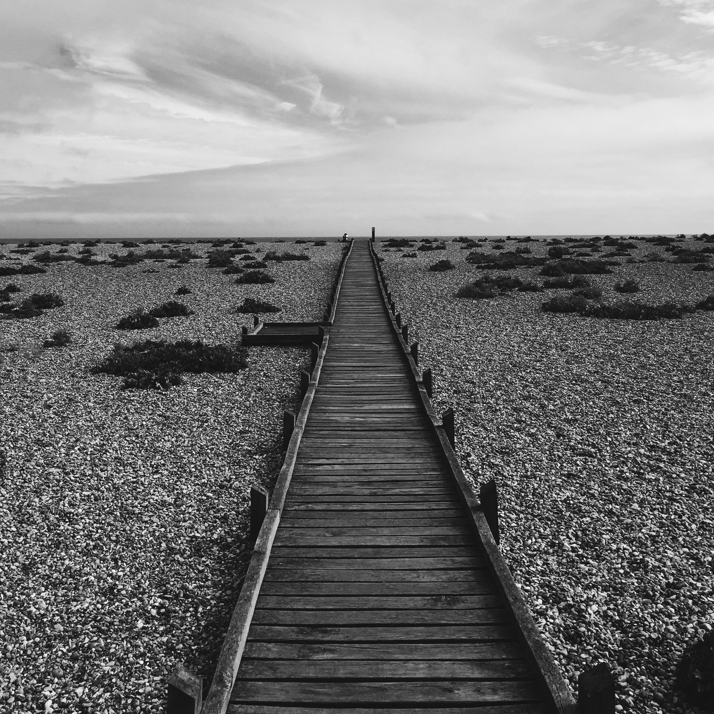 Shadows Jan 27 2022 Final - 27.jpeg