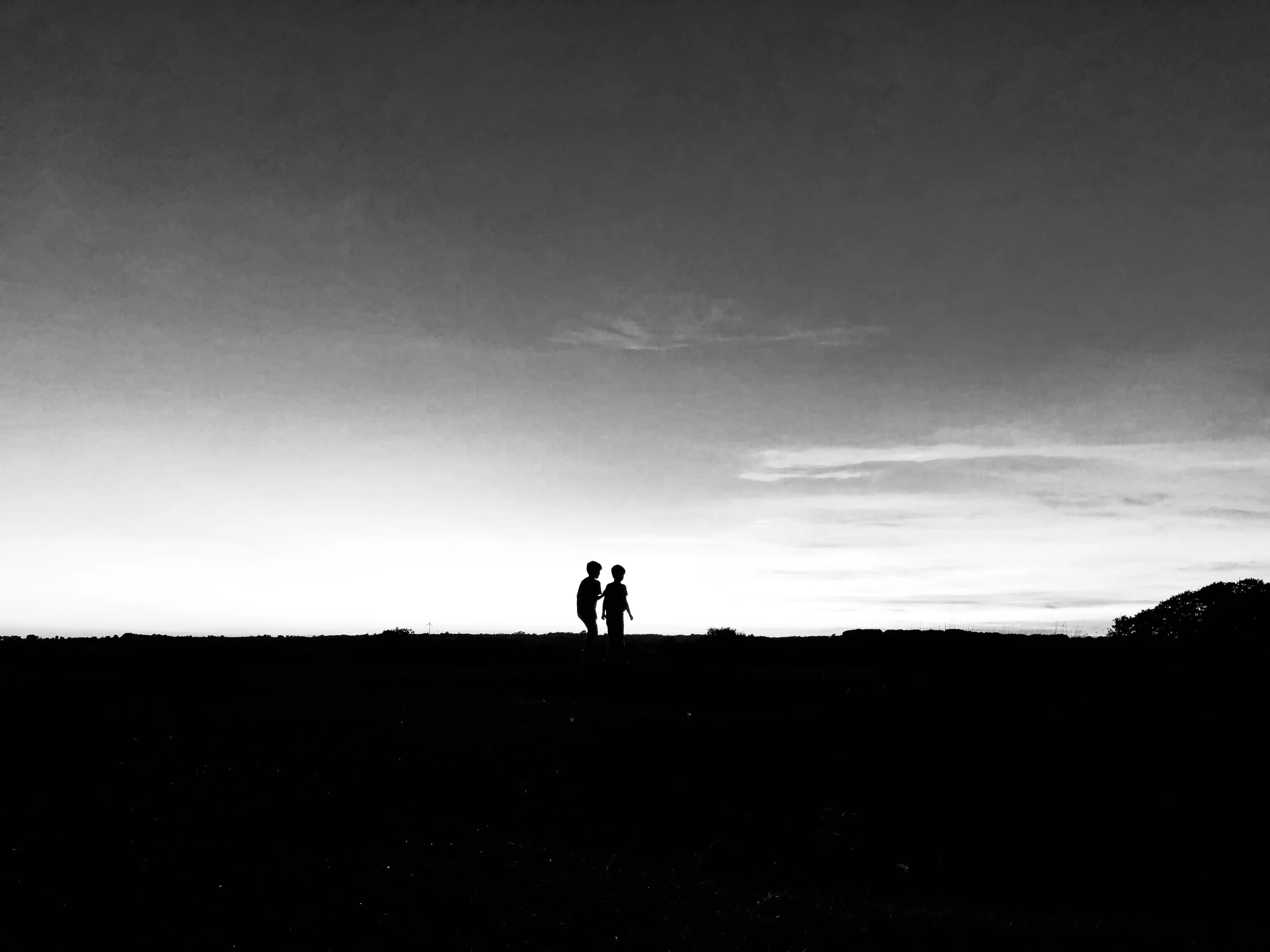 Shadows Jan 27 2022 Final - 59.jpeg