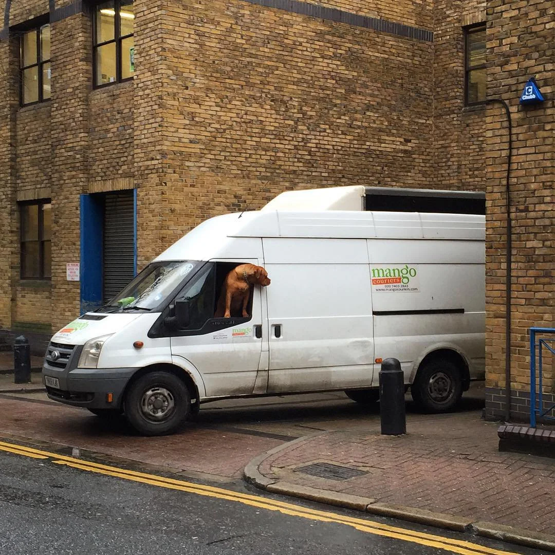 Speed Jan 27 2022 Final - 9.jpeg