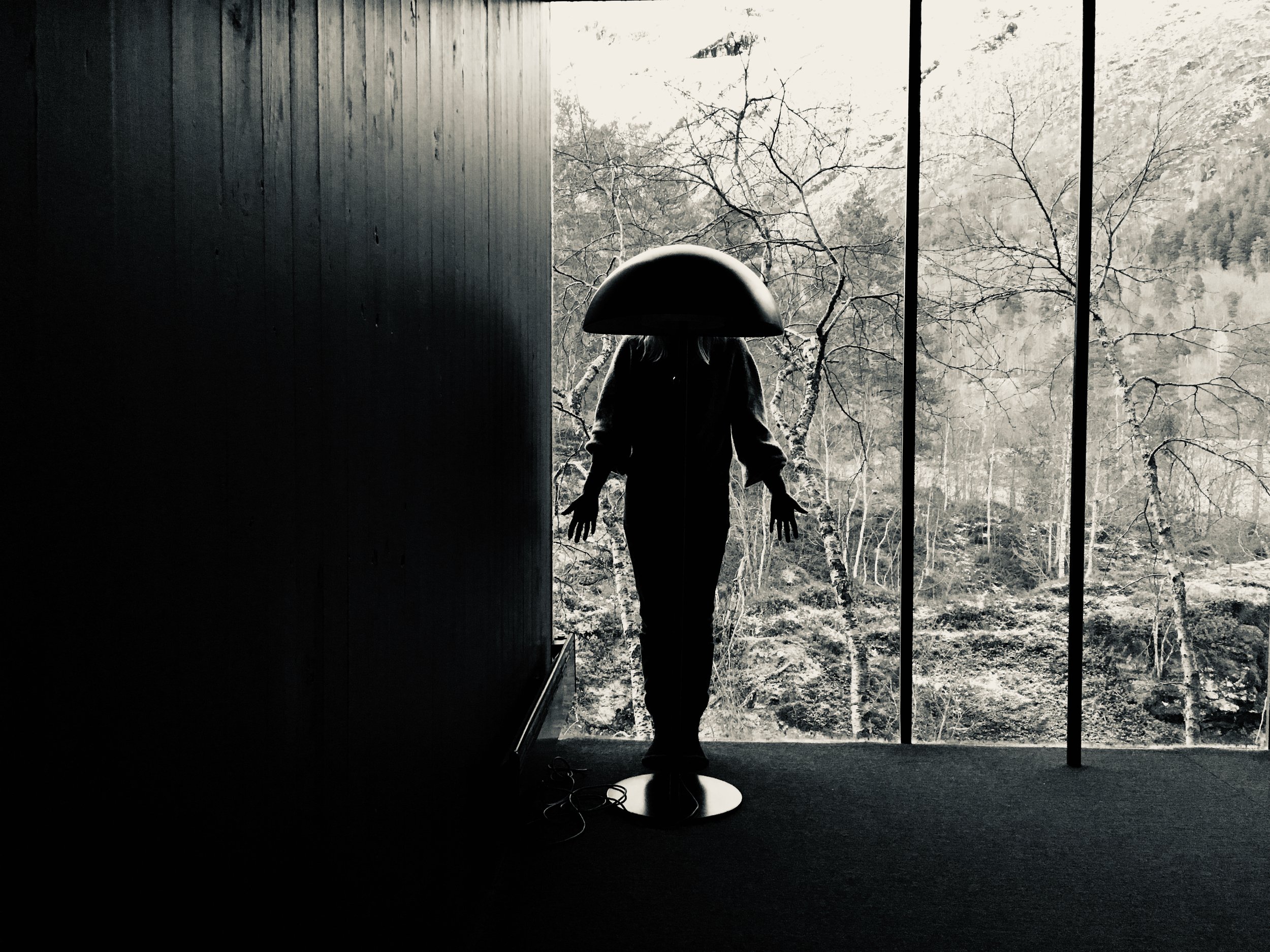 Shadows Jan 27 2022 Final - 4.jpeg