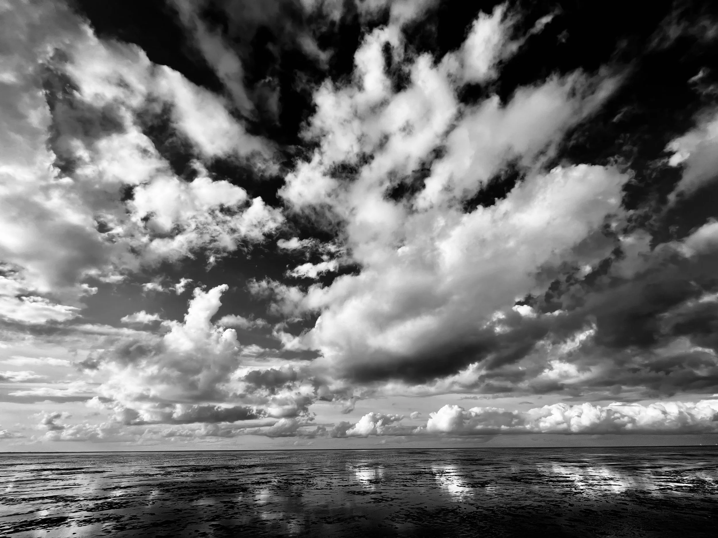 Shadows Jan 27 2022 Final - 64.jpeg