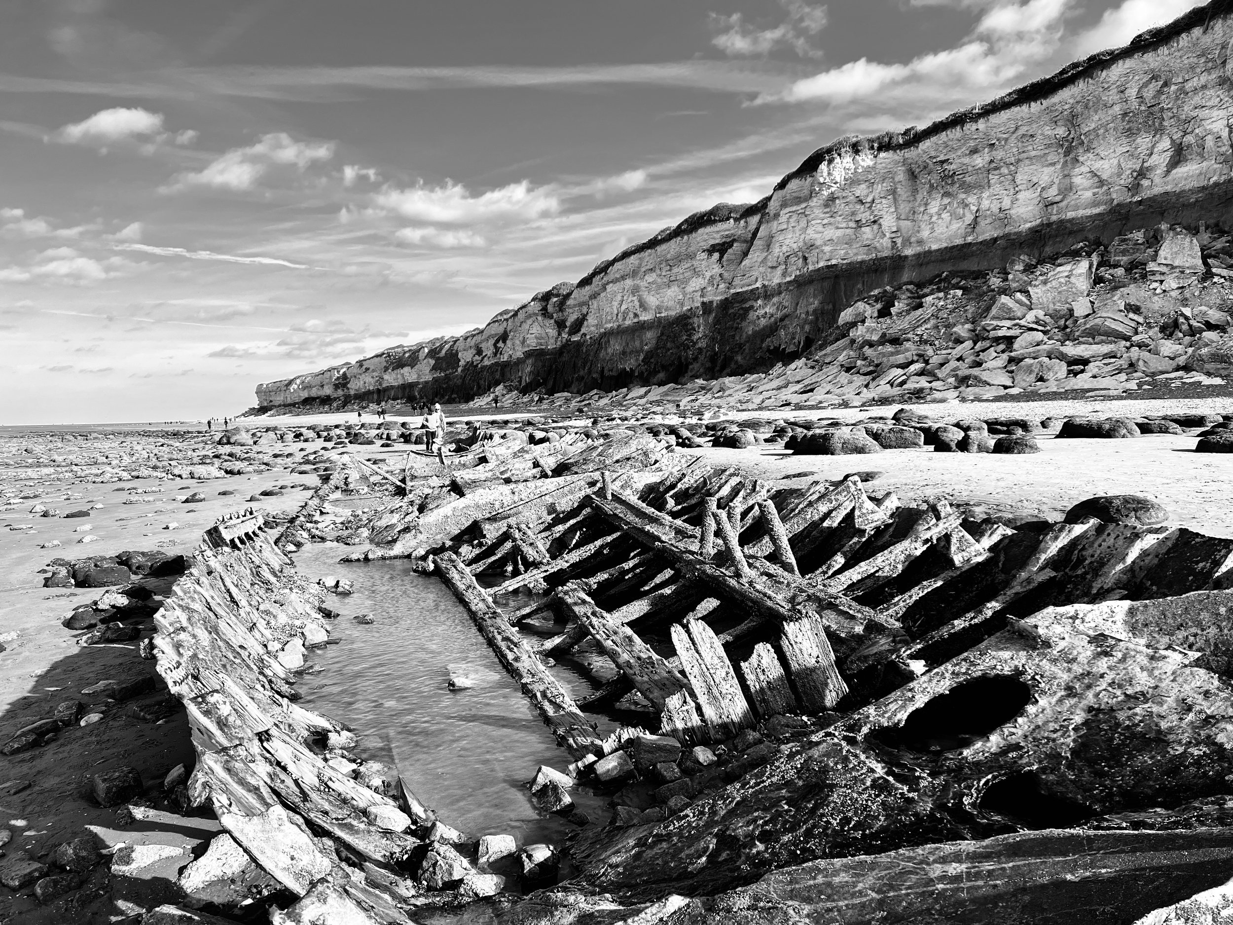 Shadows Jan 27 2022 Final - 61.jpeg