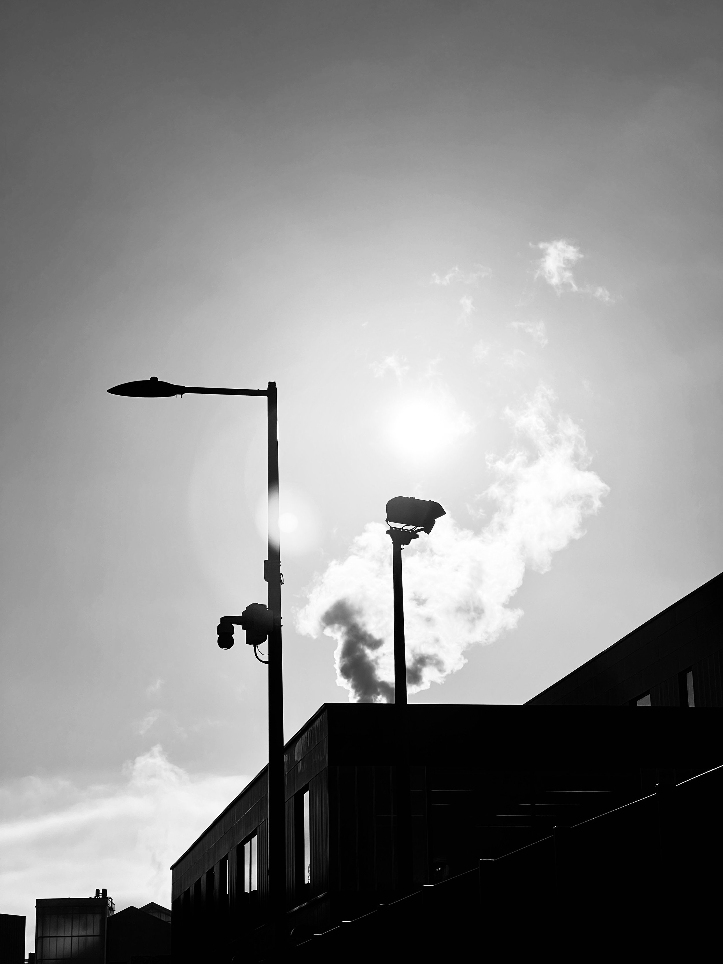 Shadows Jan 27 2022 Final - 30.jpeg