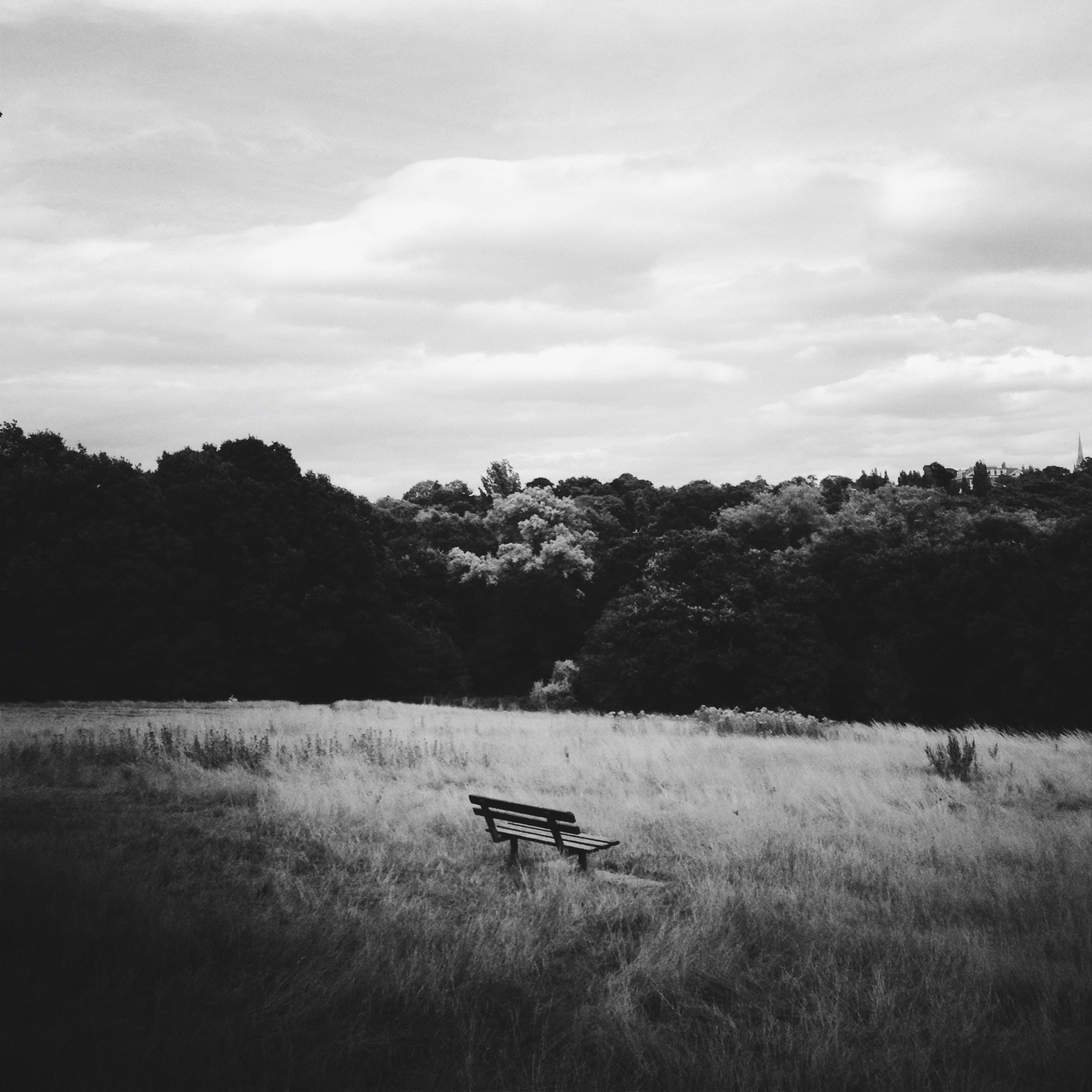 Shadows Jan 27 2022 Final - 16.jpeg