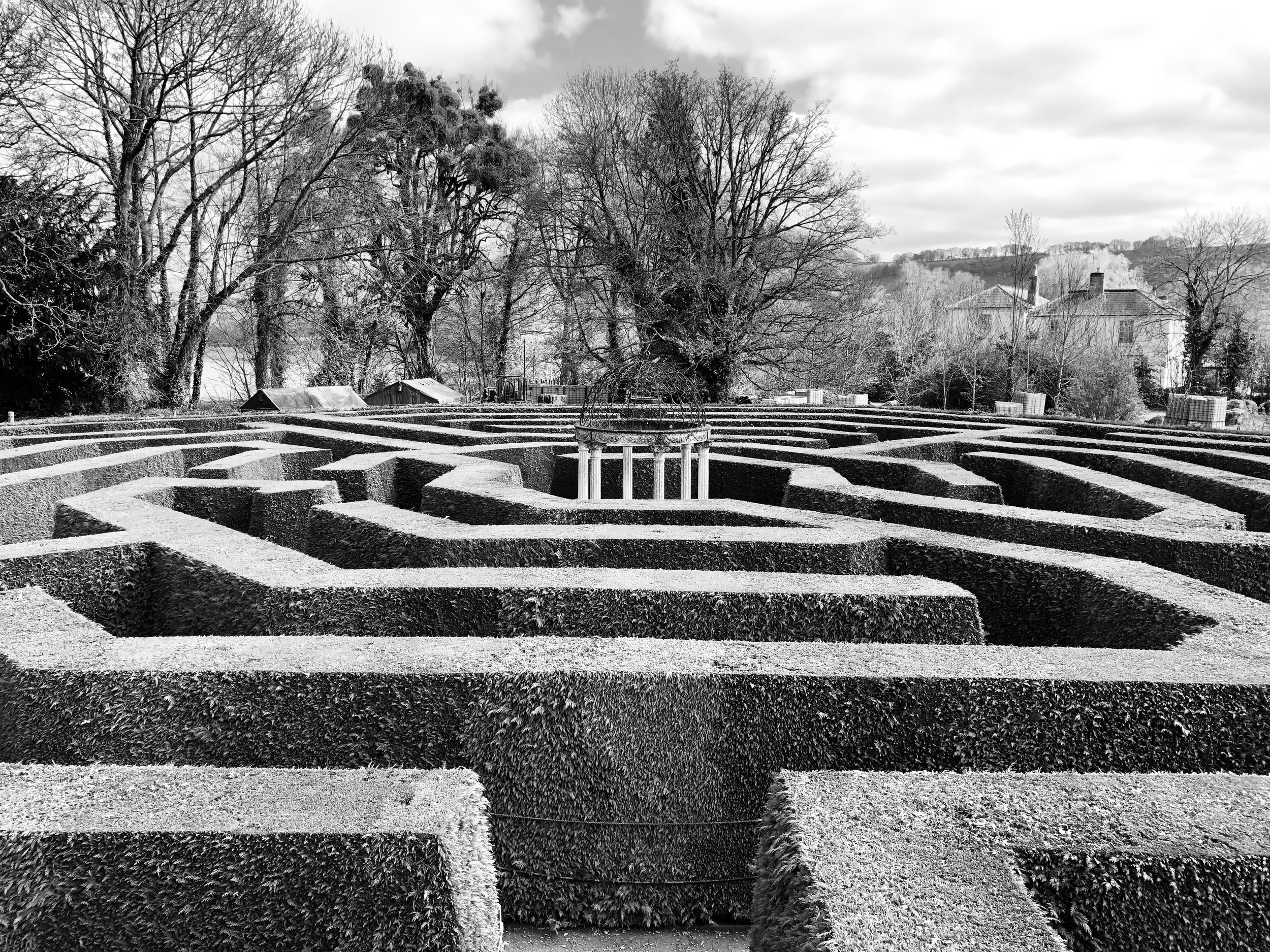 Shadows Jan 27 2022 Final - 54.jpeg