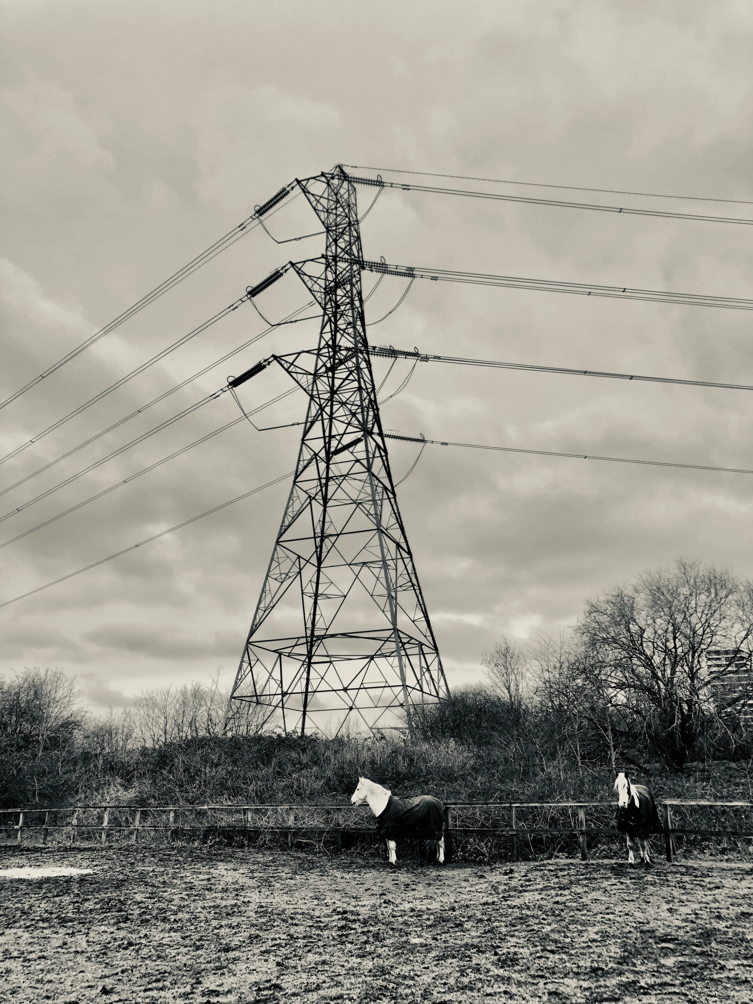 Structures Jan 28 2022 Final - 5.jpeg