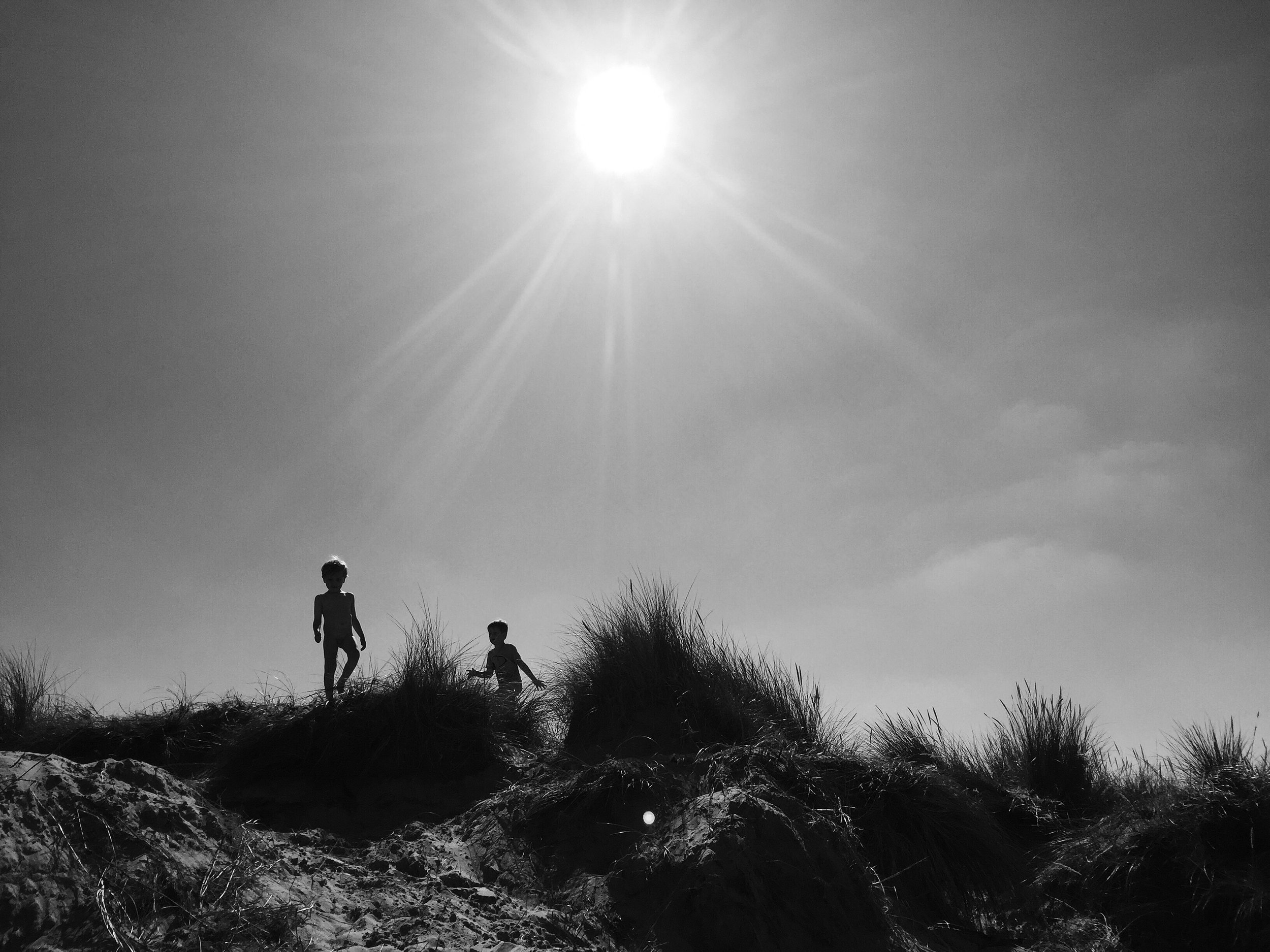 Shadows Jan 27 2022 Final - 9.jpeg