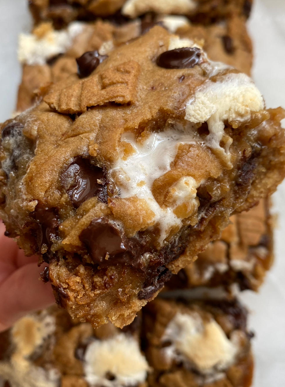 S'mores Cookie Bars