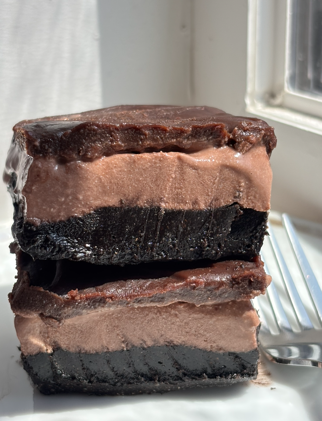 No-Bake Healthy Ice Cream Bars