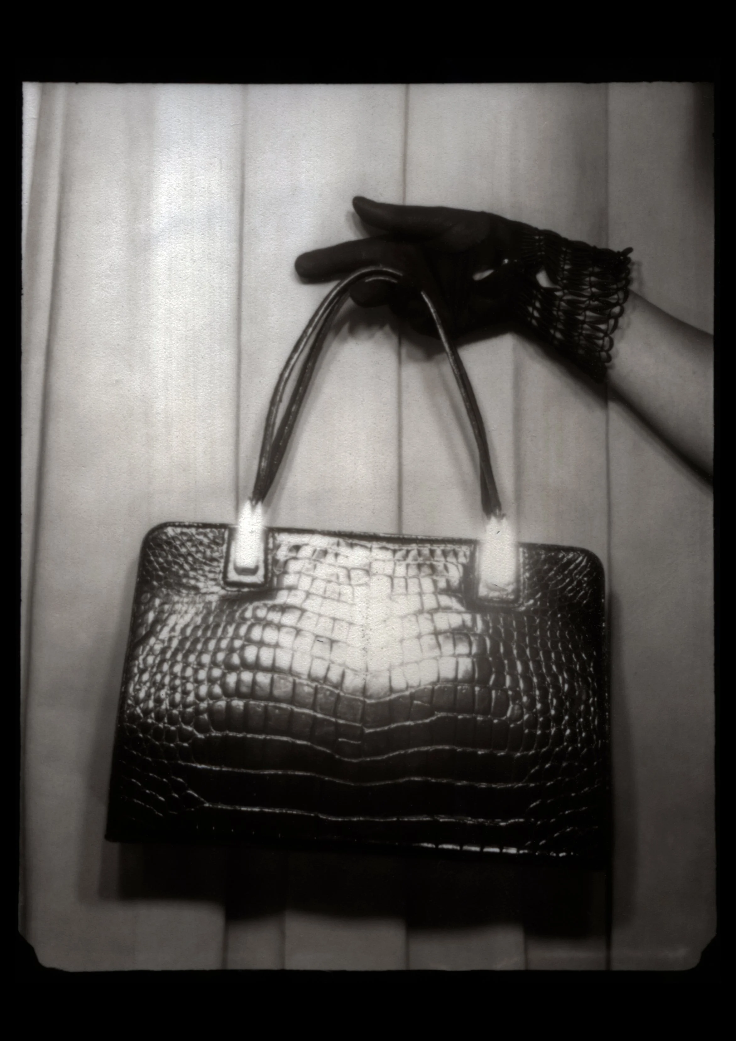 Carla_Borel_Bag_glove_A1_100dpi.jpg