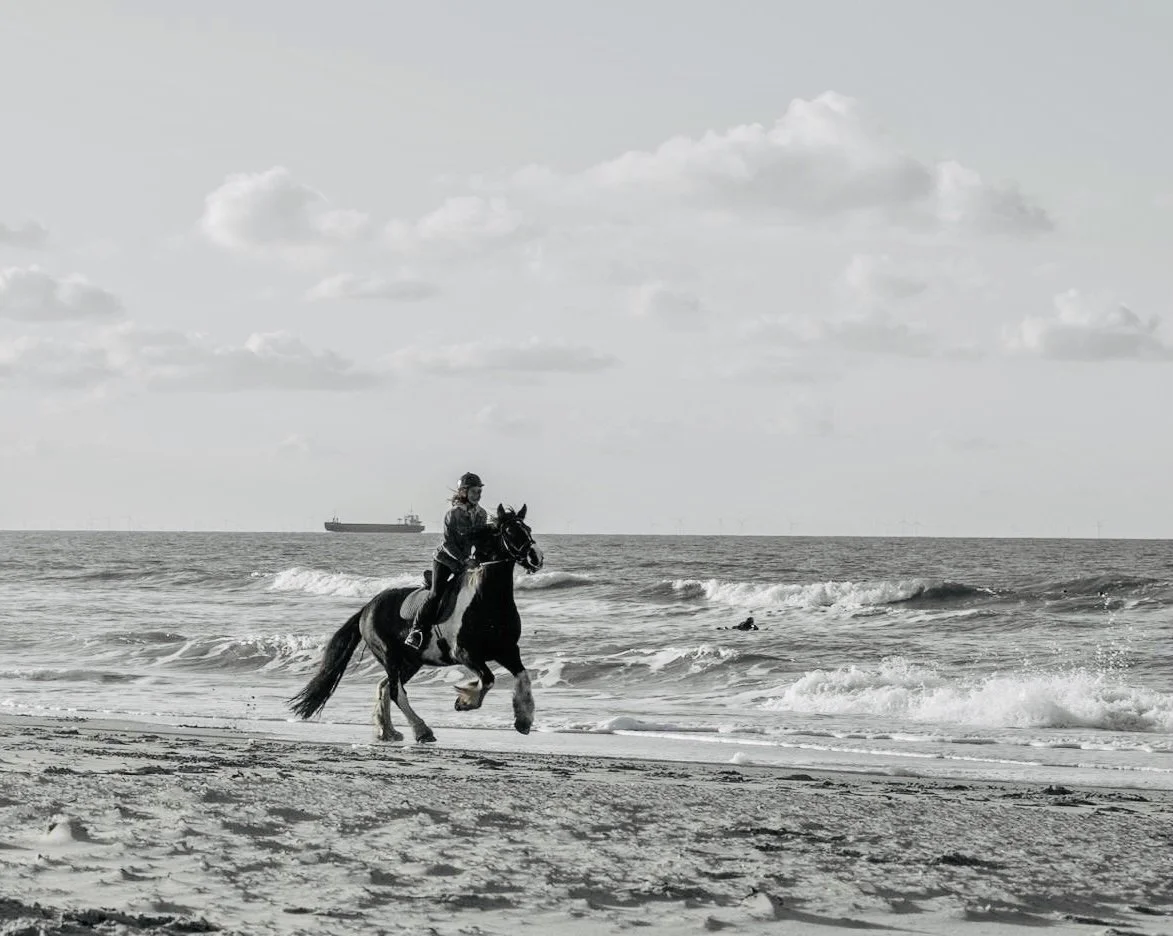 Domburg &amp; rondje Walcheren