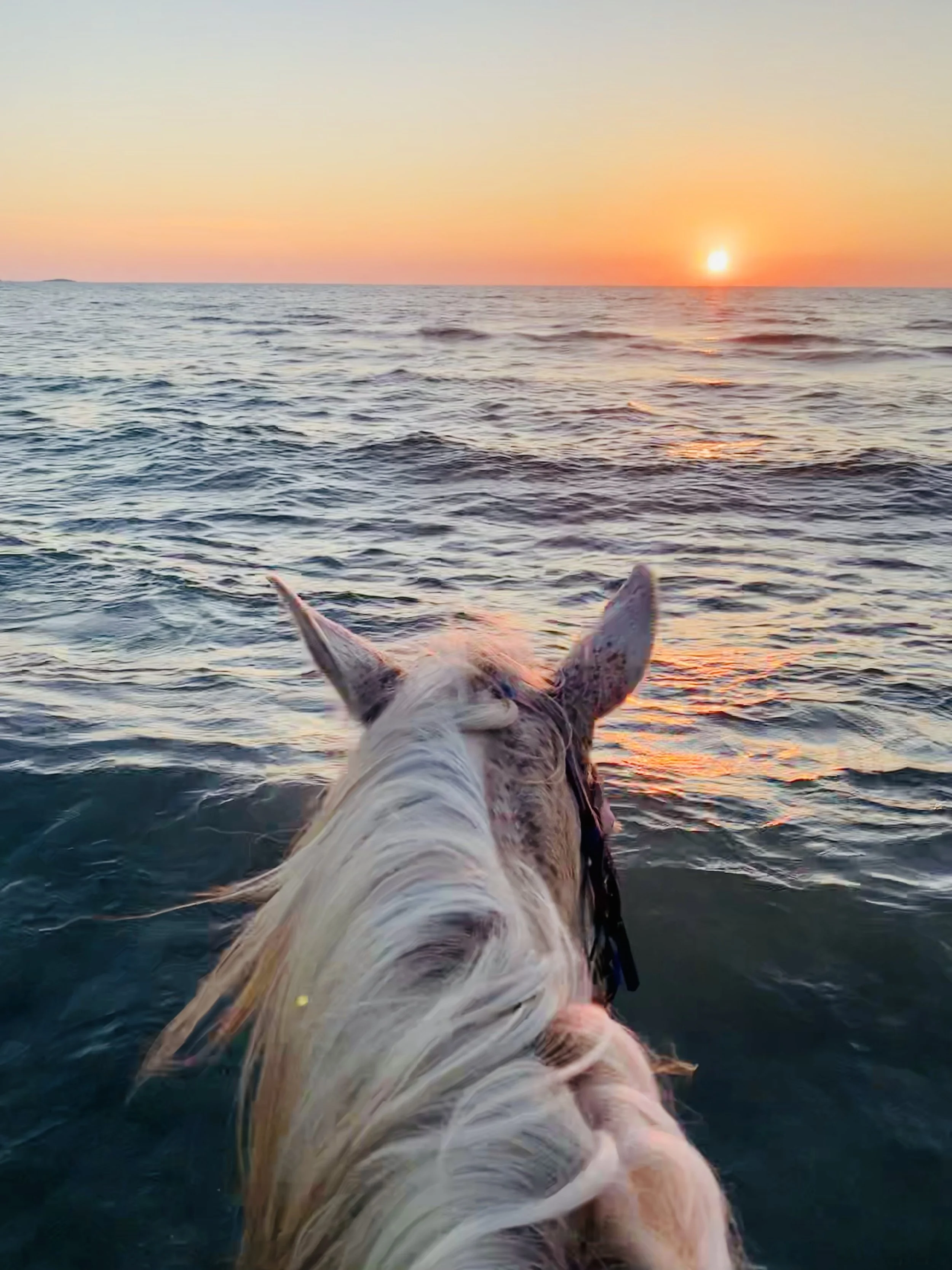 Het wilde weste van Sardinië
