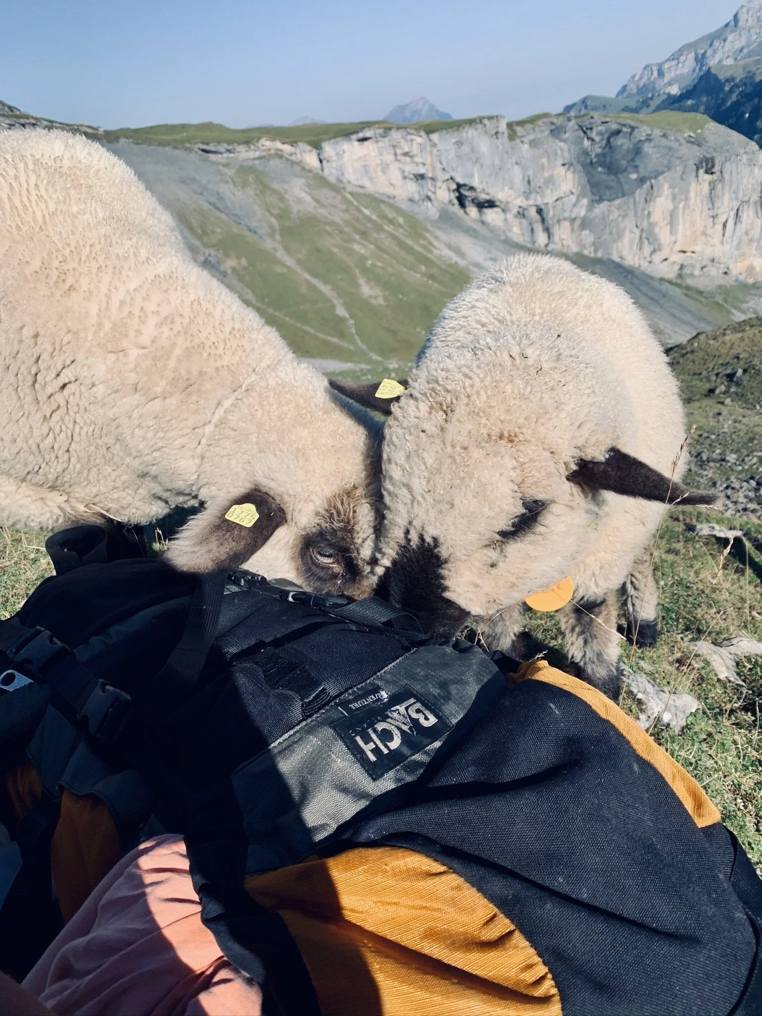 De ultieme huttentocht paklijst
