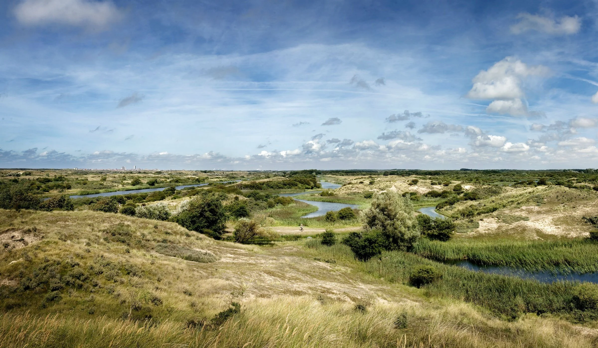 Vogelspotten in de Amsterdamse Waterleidingduinen