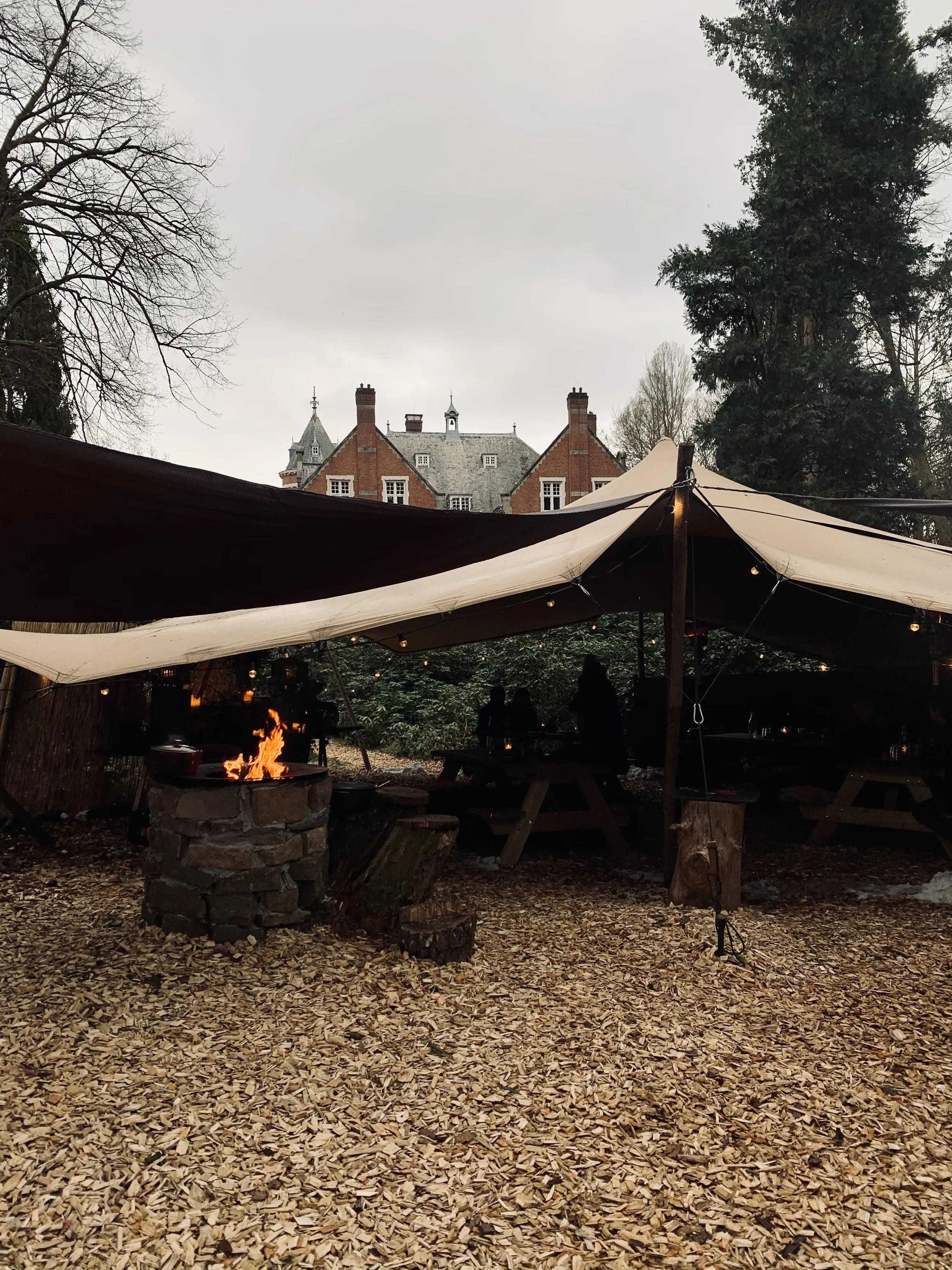 Wild time op De Hoge Veluwe