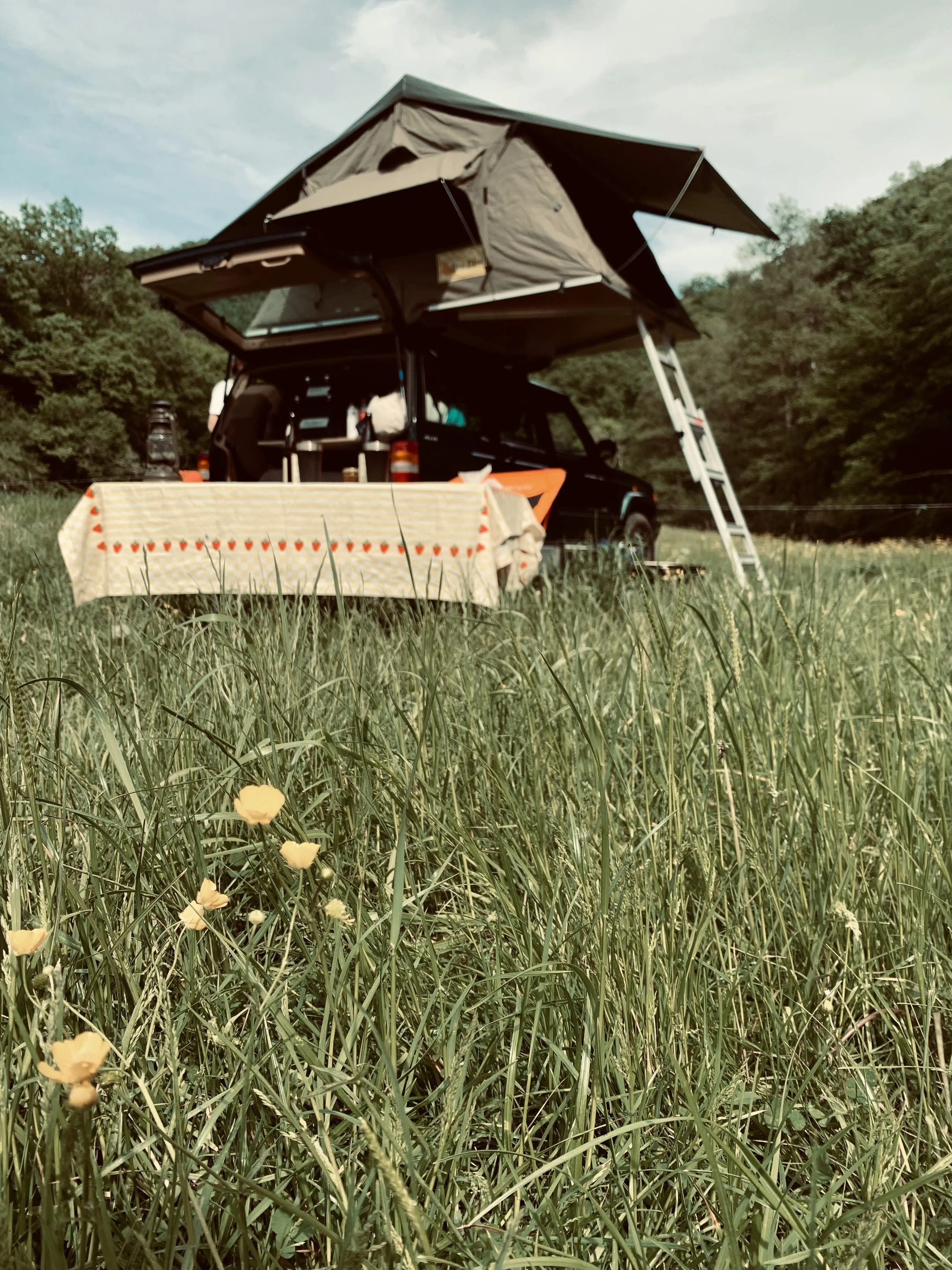 De beste natuurcamping van Duitsland: Strotzbüscher Mühle