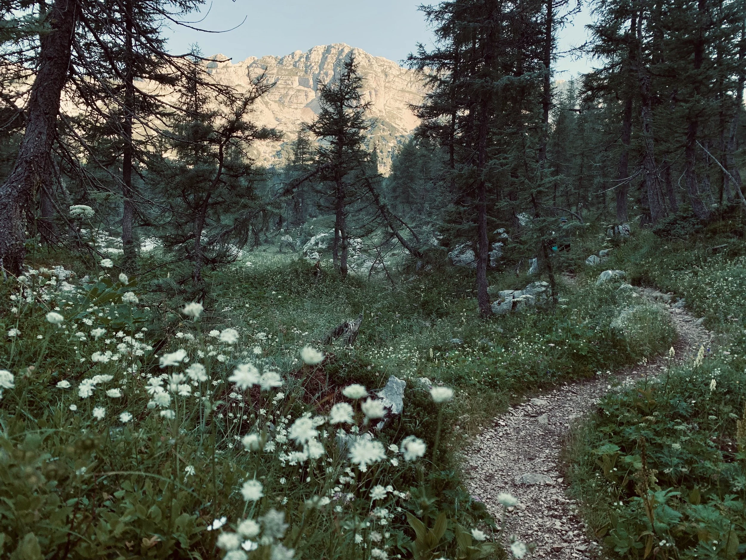 Een roadtrip door het sprookjesachtige Slovenië 