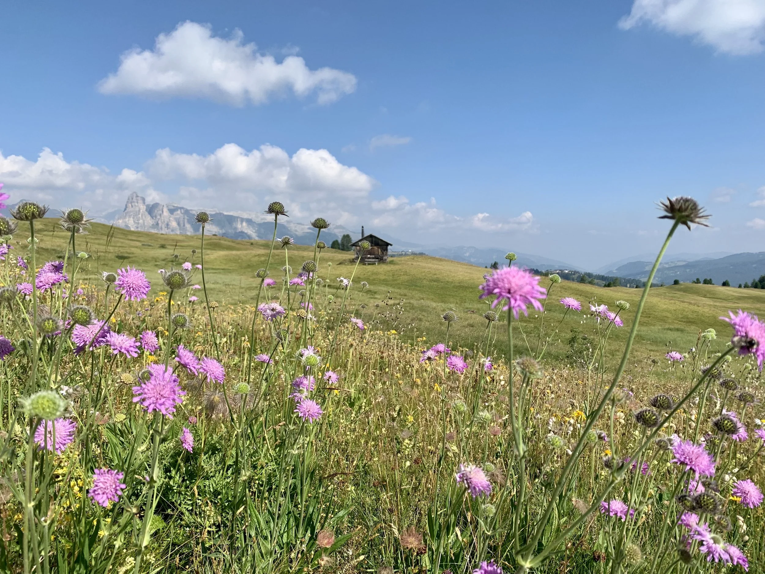 Een perfetta zomer in de Dolomieten