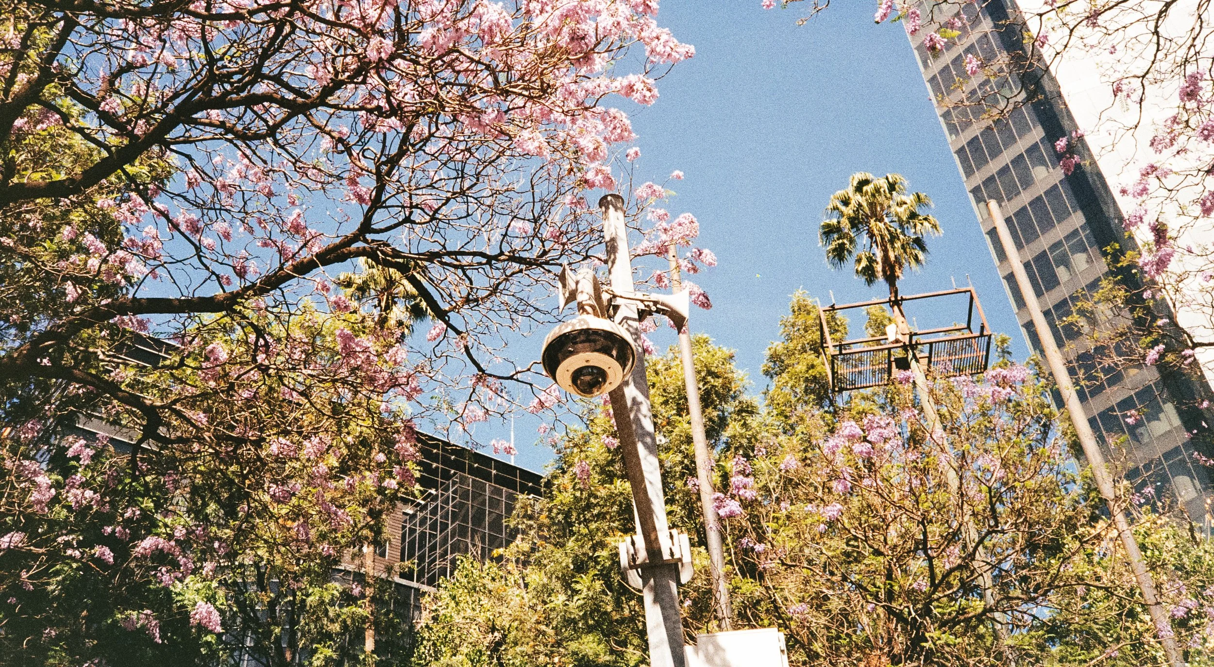 Kollektiv_Oskar-xlongbey-Analog-Streetphotography-20250414-17-18-Wiederfaenger-029.jpg