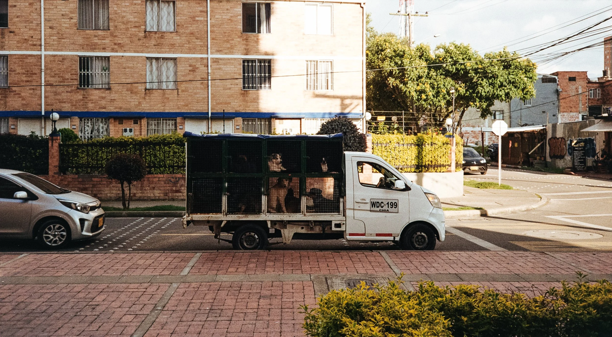 Kollektiv_Oskar-xlongbey-Analog-Streetphotography-20250414-17-17-Wiederfaenger-019.jpg