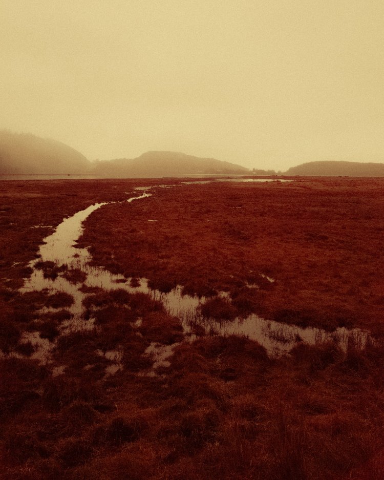flatlands