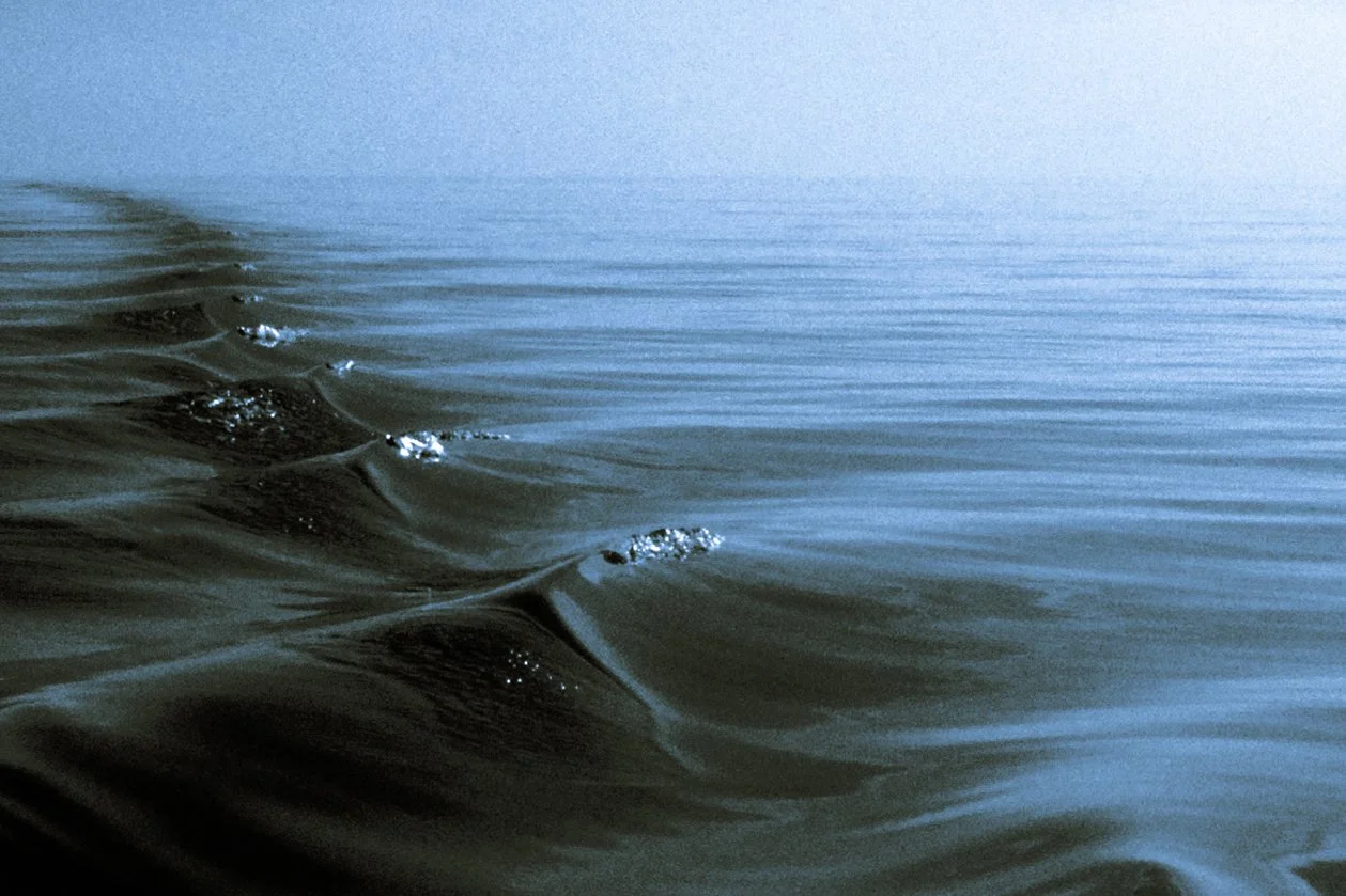 RP004205.jpg