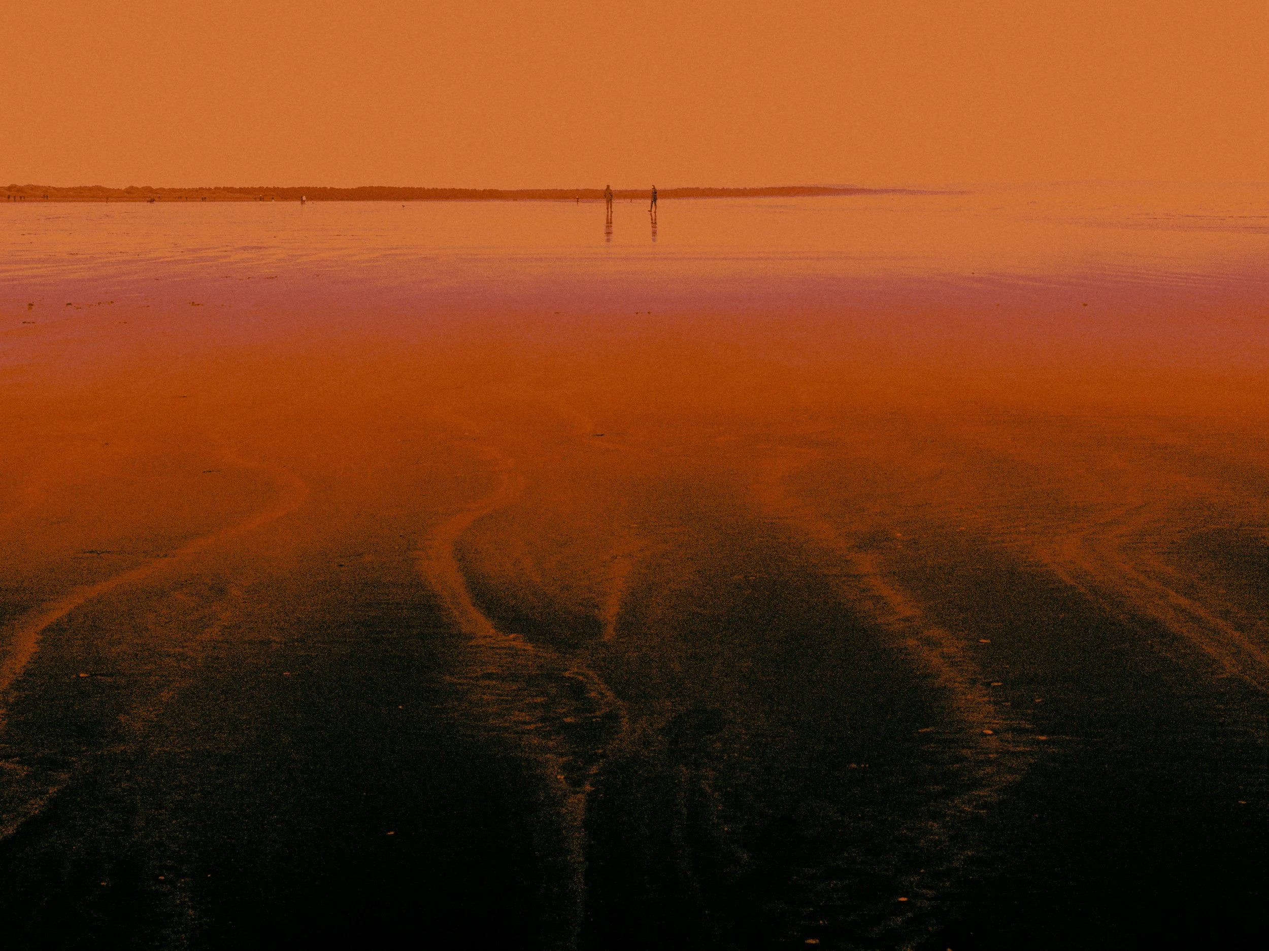 L1009926.jpg