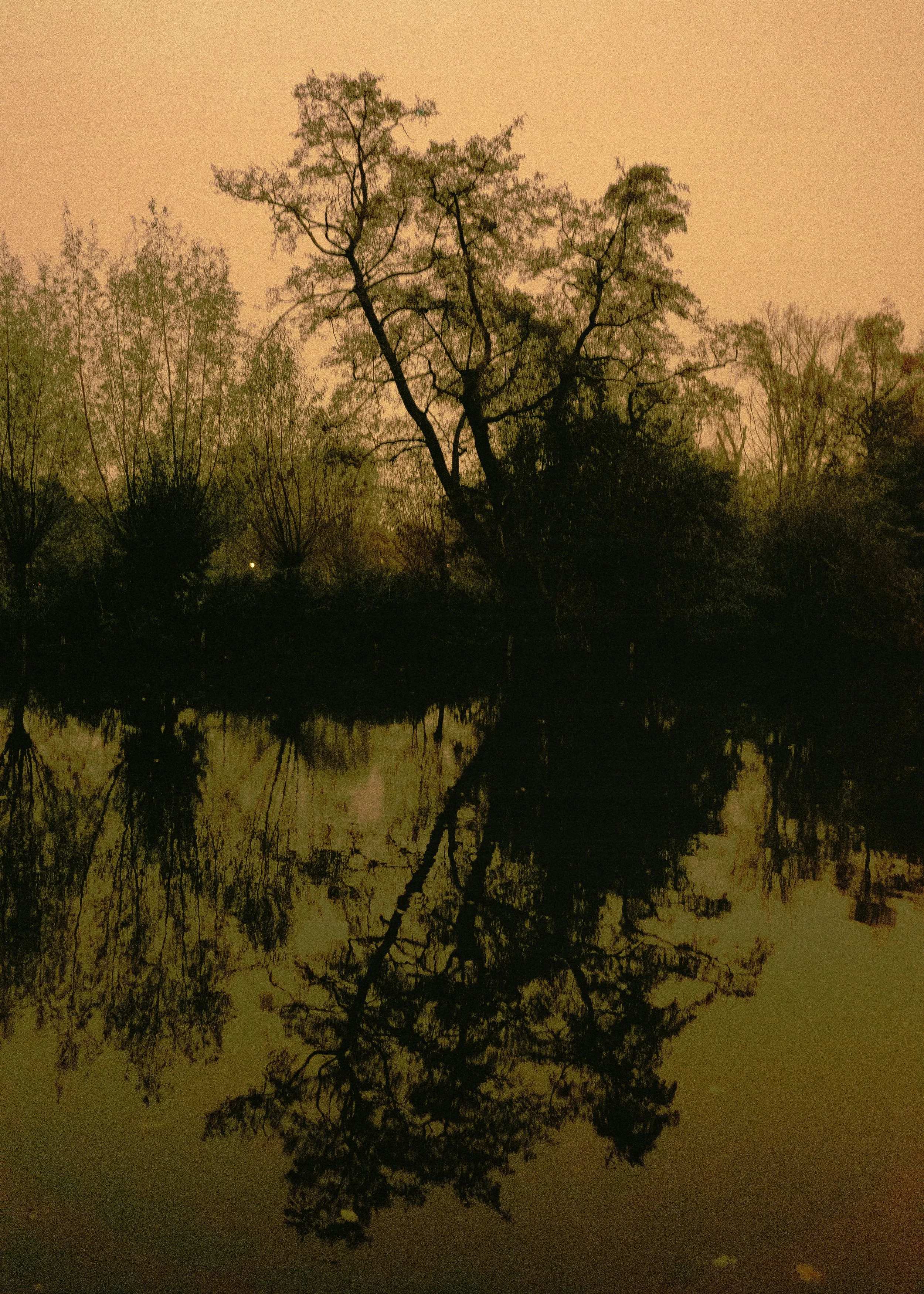 RP074165.jpg