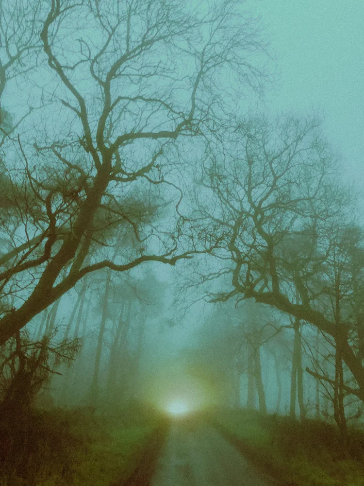 mist headlights
