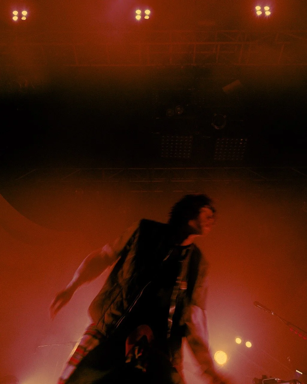 L1013979 Large.jpeg