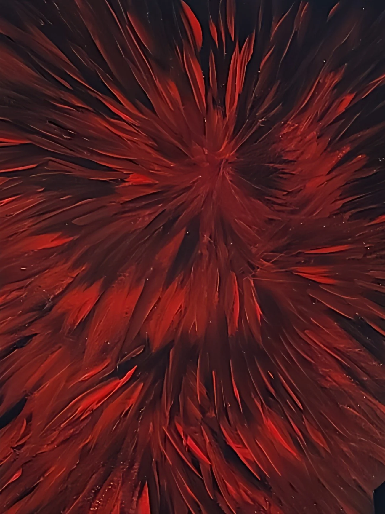 8f2d94c8-5ae2-4935-934c-659c26929e82.jpg