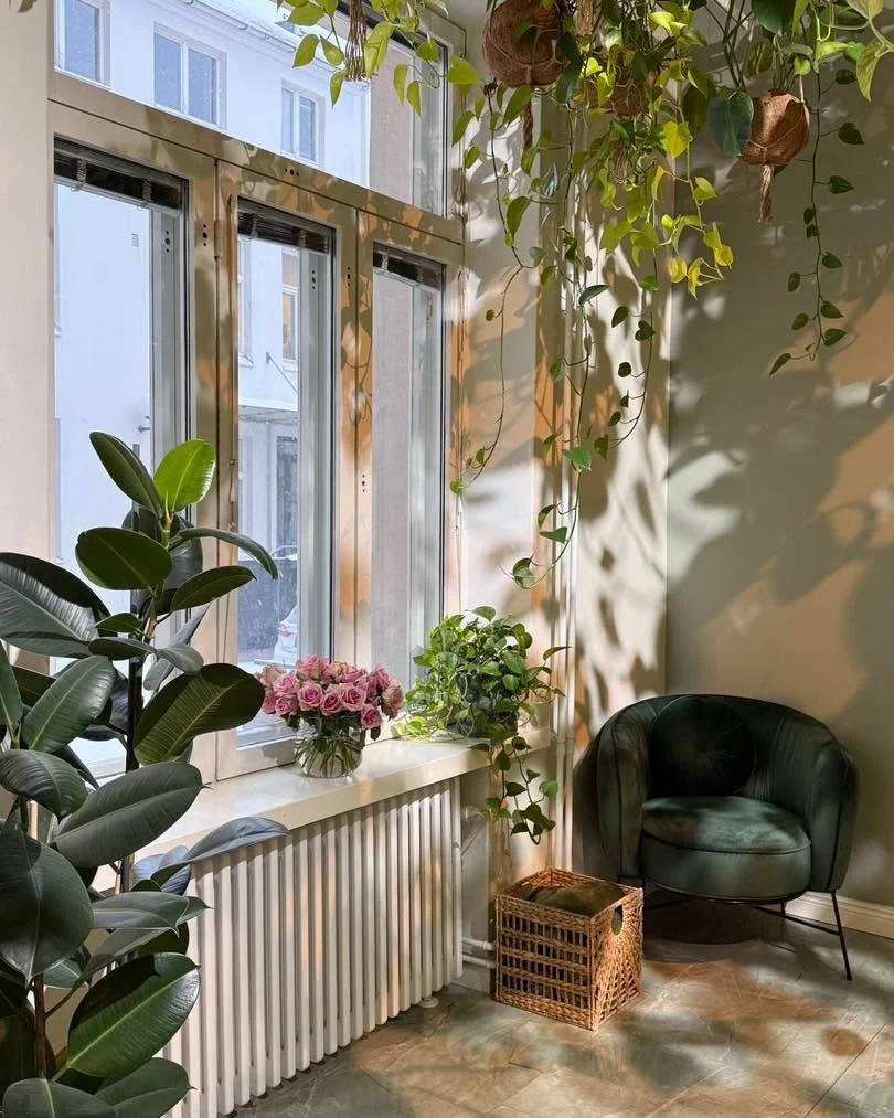 Kev&auml;ttalven valo tulvii sis&auml;&auml;n Atmoksen isoista ikkunoista☀️🌱

Hiihtolomaviikolla l&ouml;ytyy viel&auml; muutama vapaa hiusaika, tervetuloa rentoutumaan!

#atmoshelsinki #hiuksethelsinki #vastuullinenkampaamo