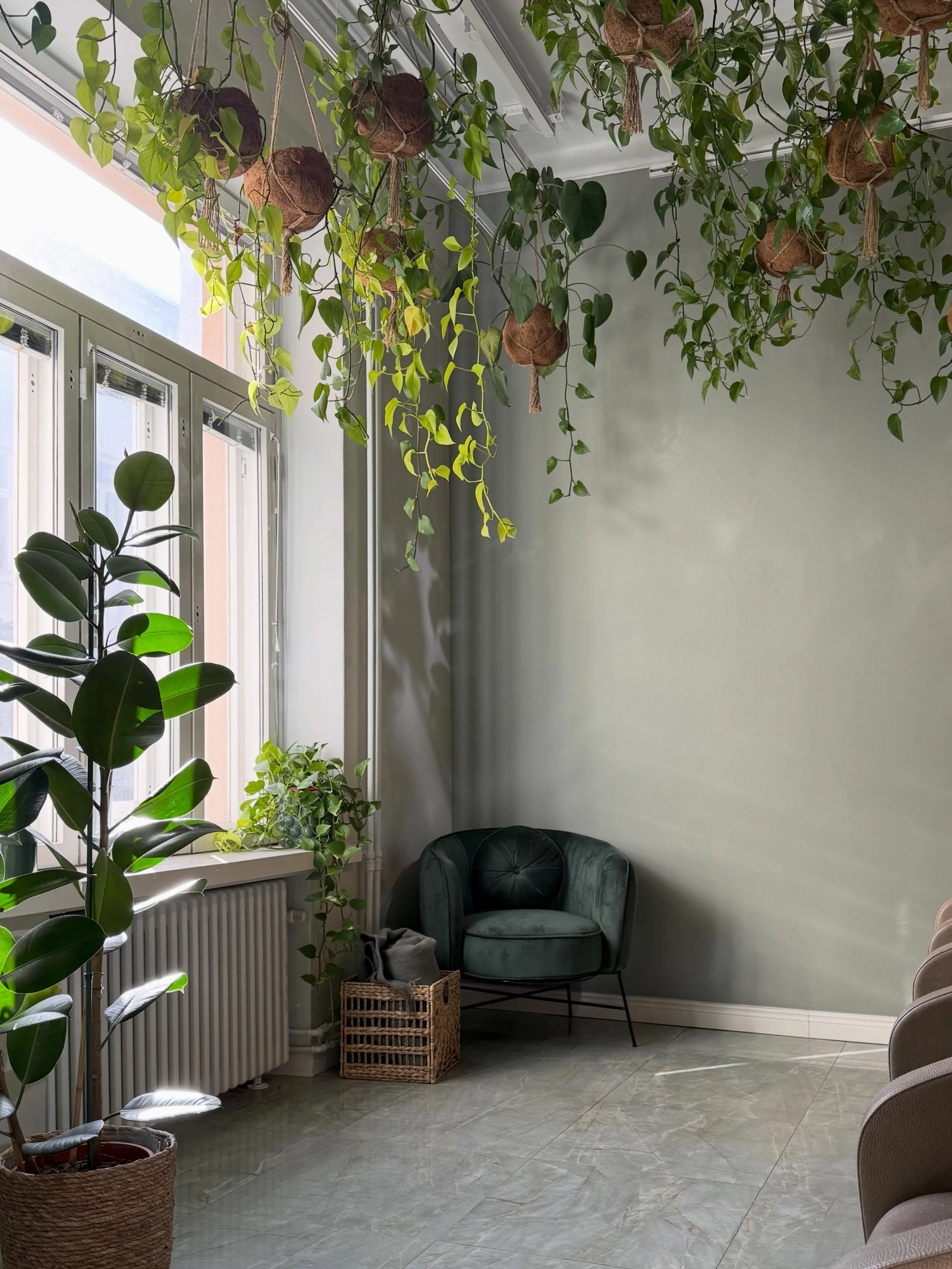 Atmos Helsingin kasvikatto her&auml;tt&auml;&auml; ihastusta p&auml;ivitt&auml;in🌱

Kasvit viihtyv&auml;t hyvin tilassa miss&auml; ne saavat paljon valoa ja niiden kastelusta ja hoivasta vastaa Joni. 

Yleisin kysymys mit&auml; kuulemme pesupaikoill