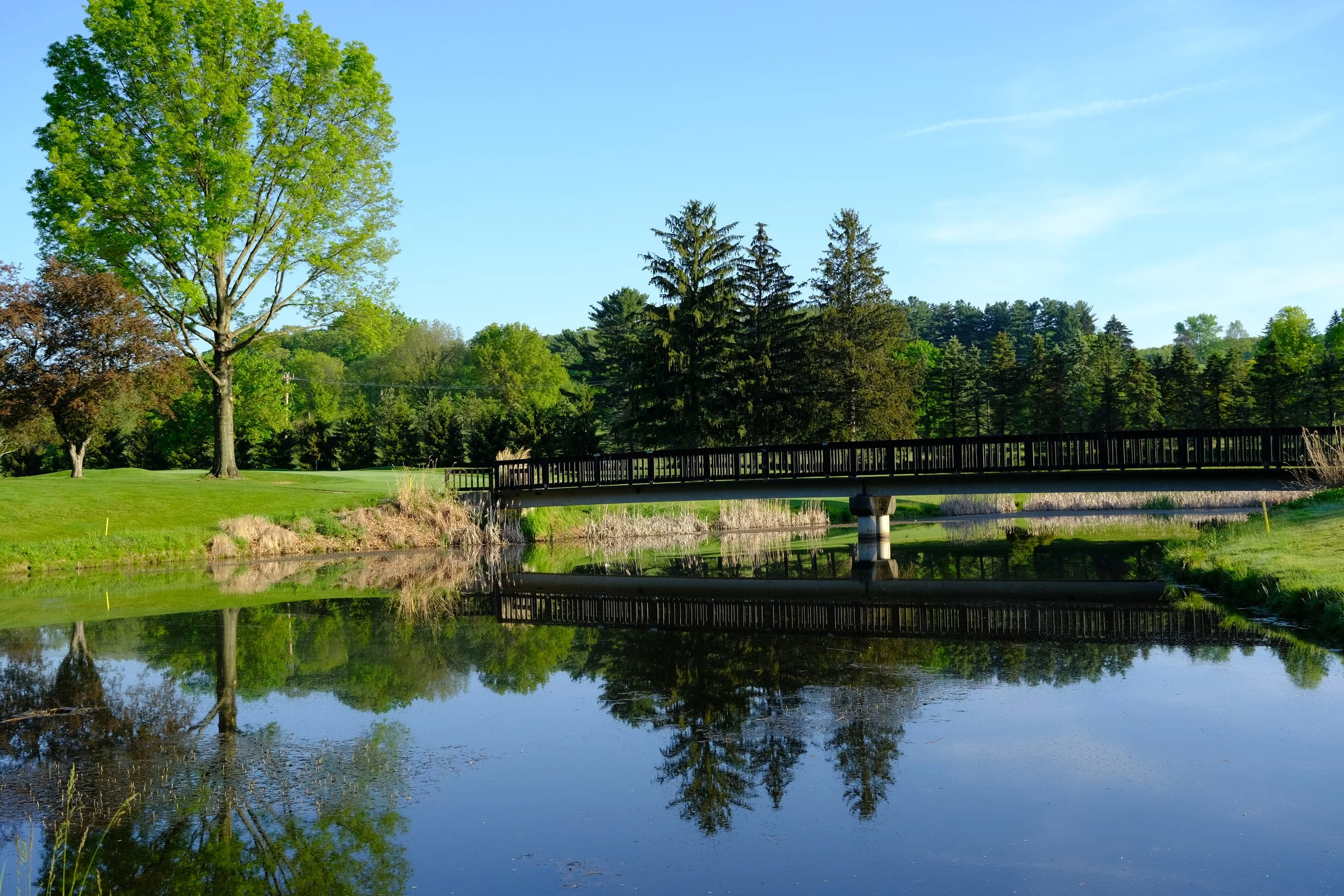A wooden bridge crosses a calm body of water with trees and green grass on either side on a bright, sunny day.