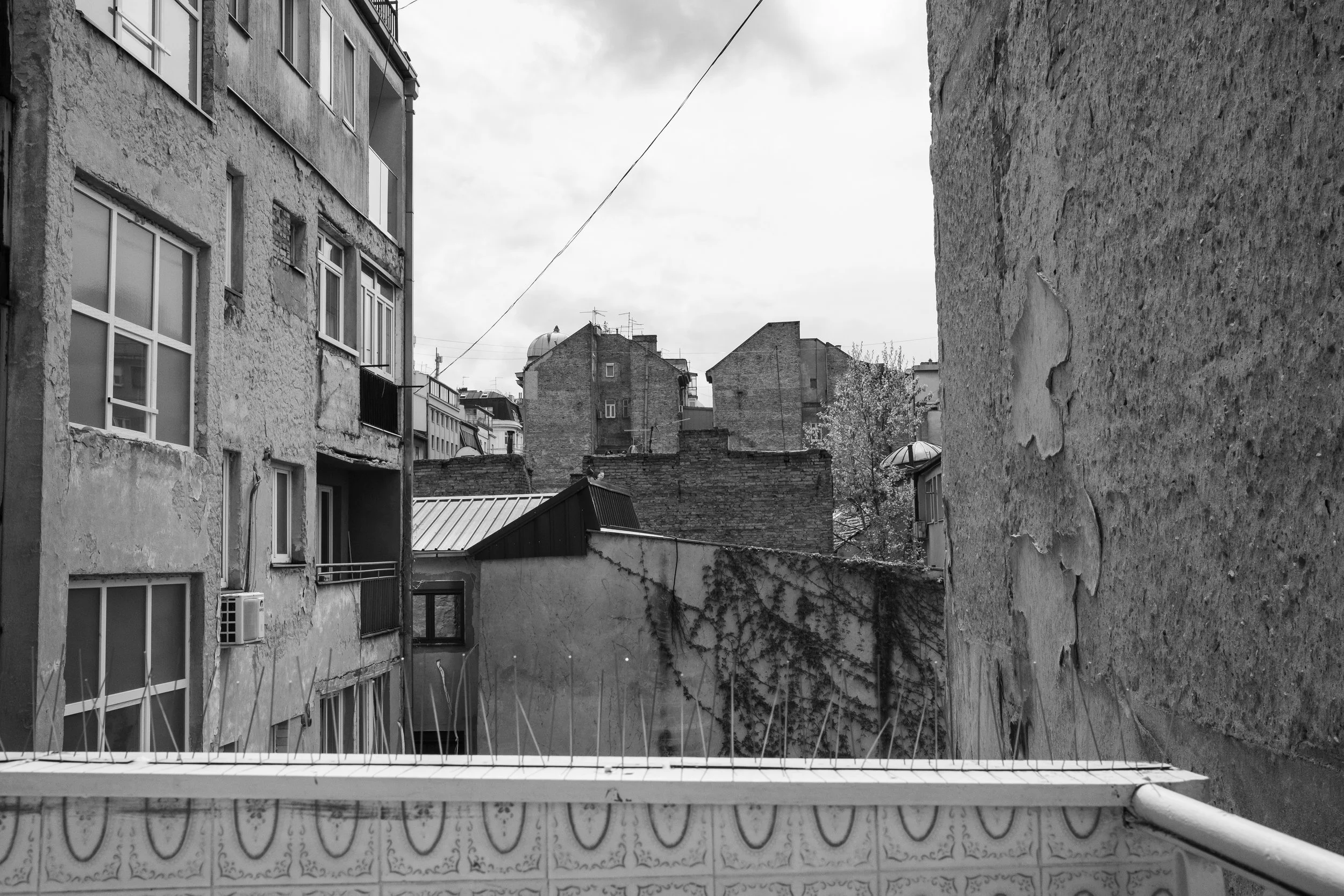 DSCF6909.jpg