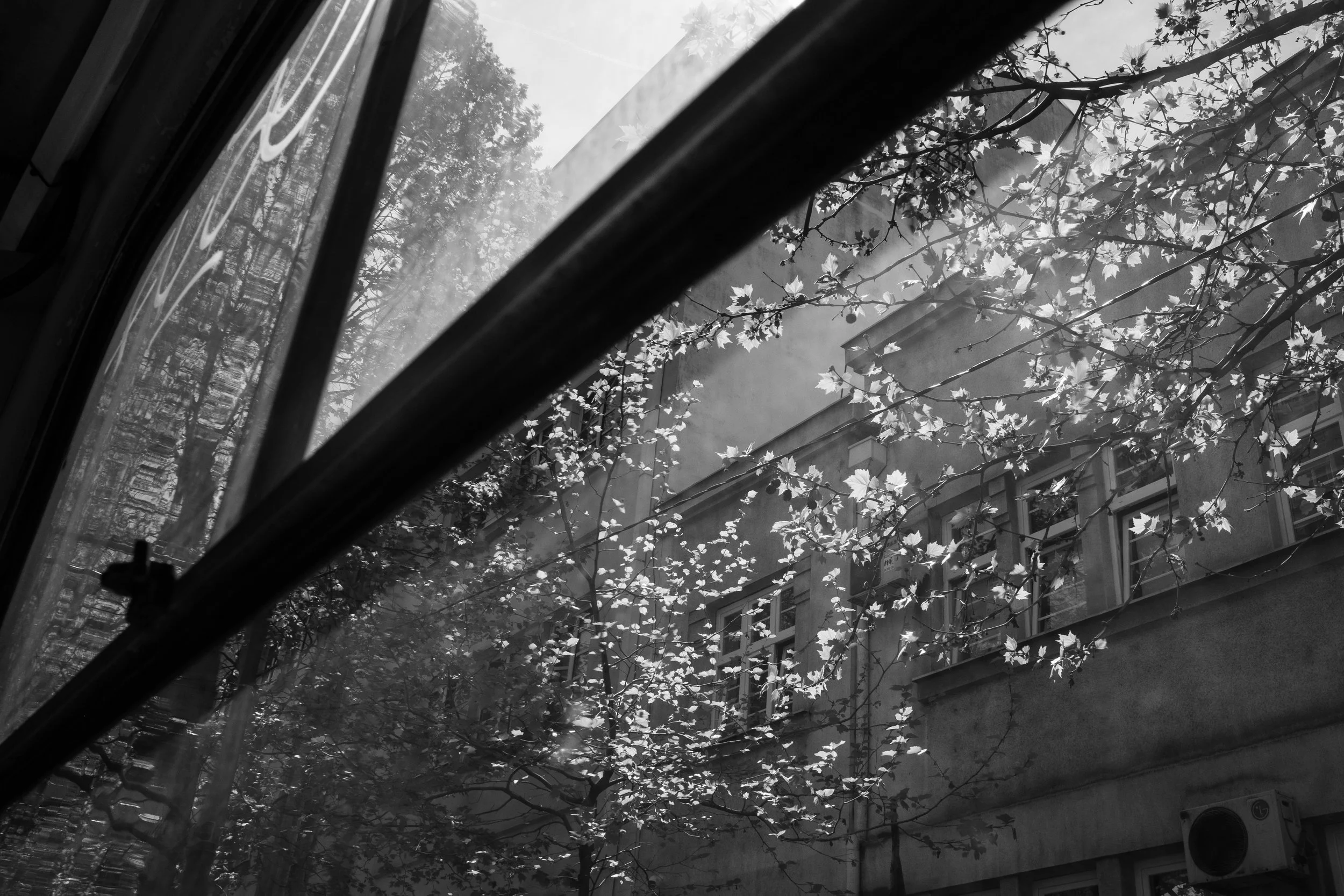 DSCF7961.jpg