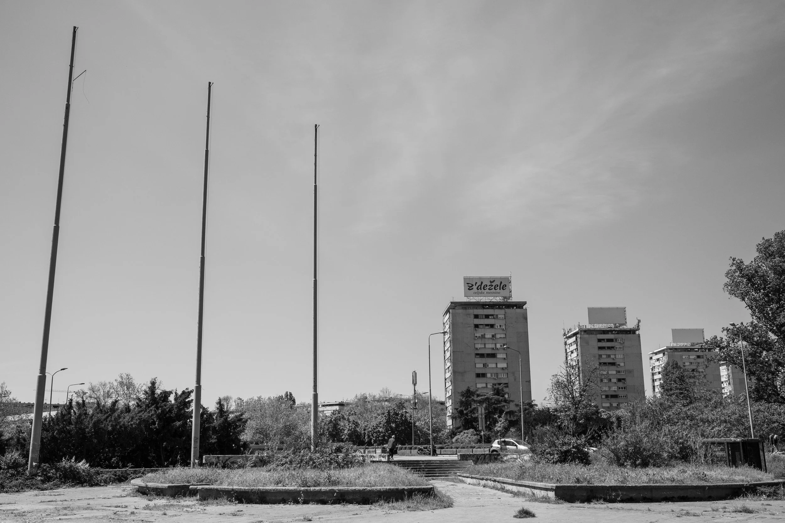 DSCF7566.jpg